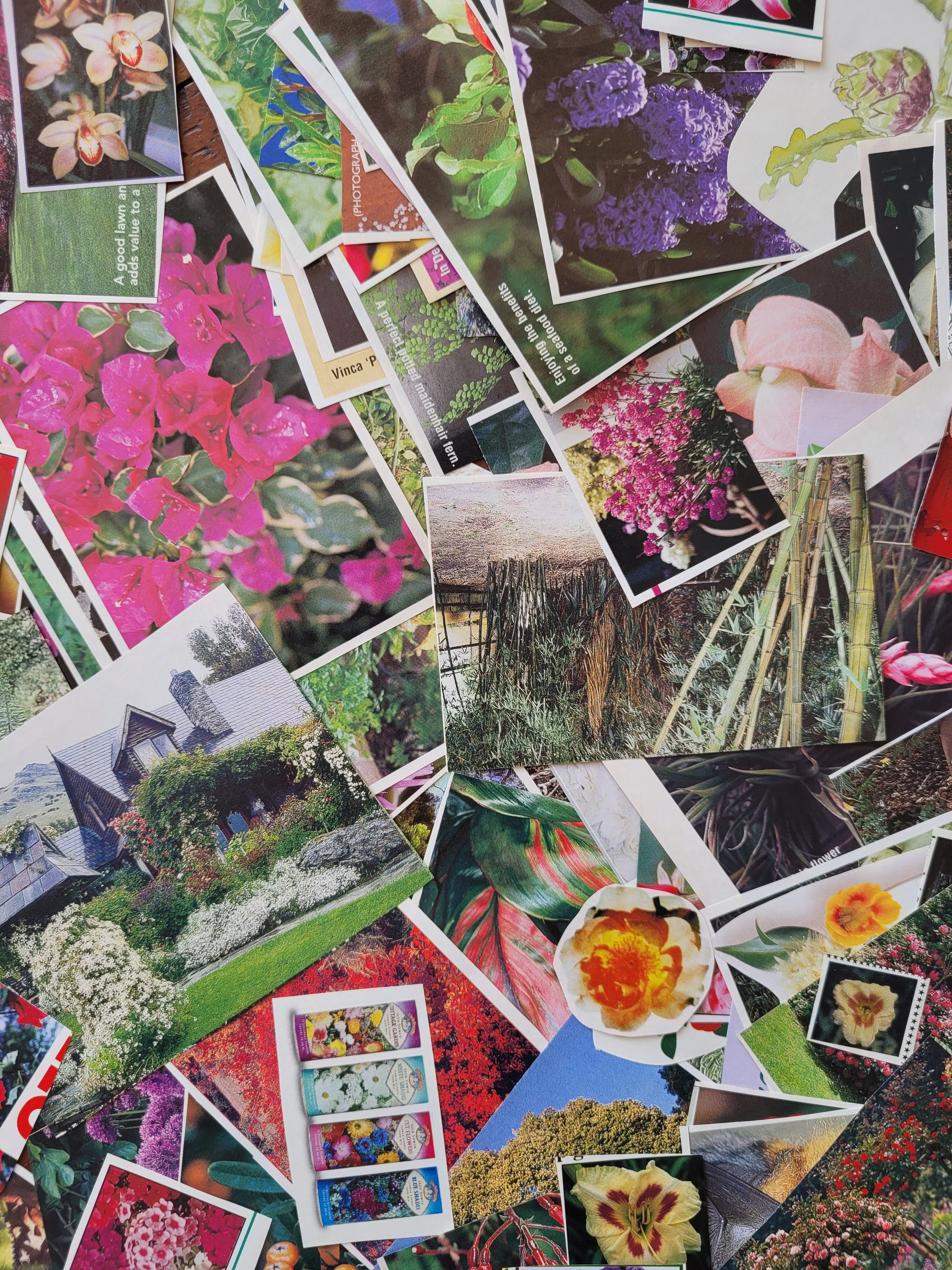 Collage pack pic 3.jpg