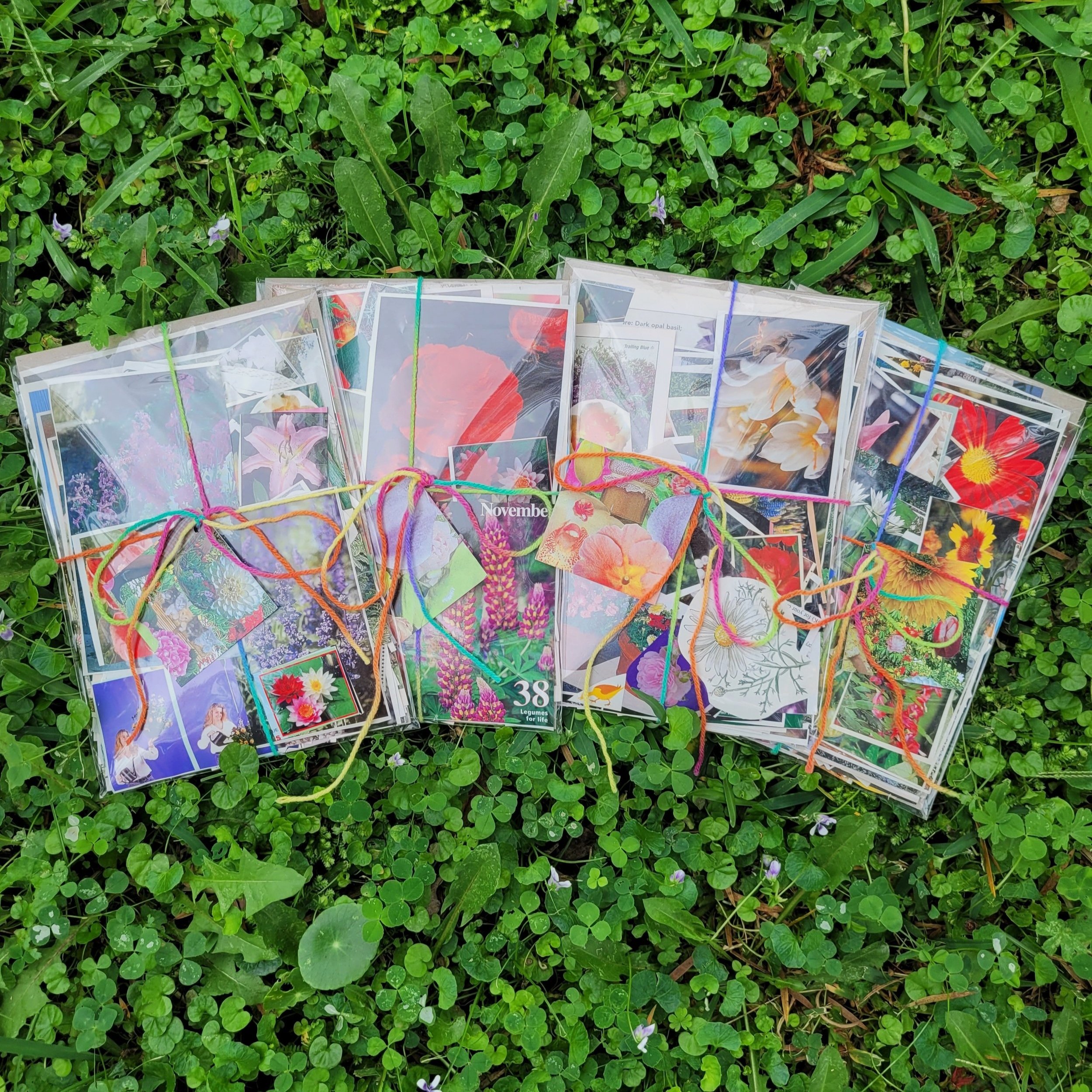 Collage+Packs+together.jpg