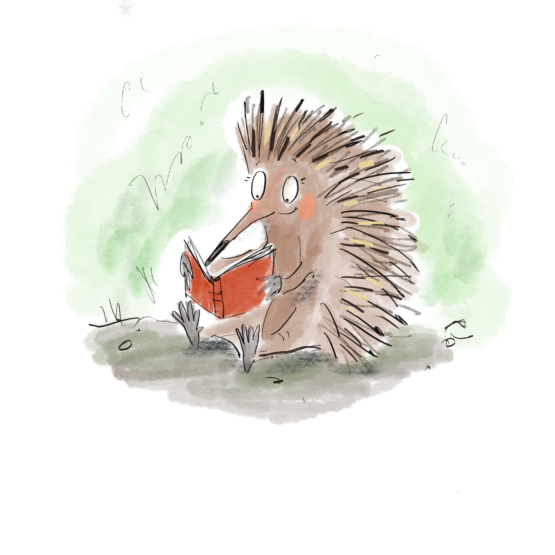 Reading_Echidna.jpg