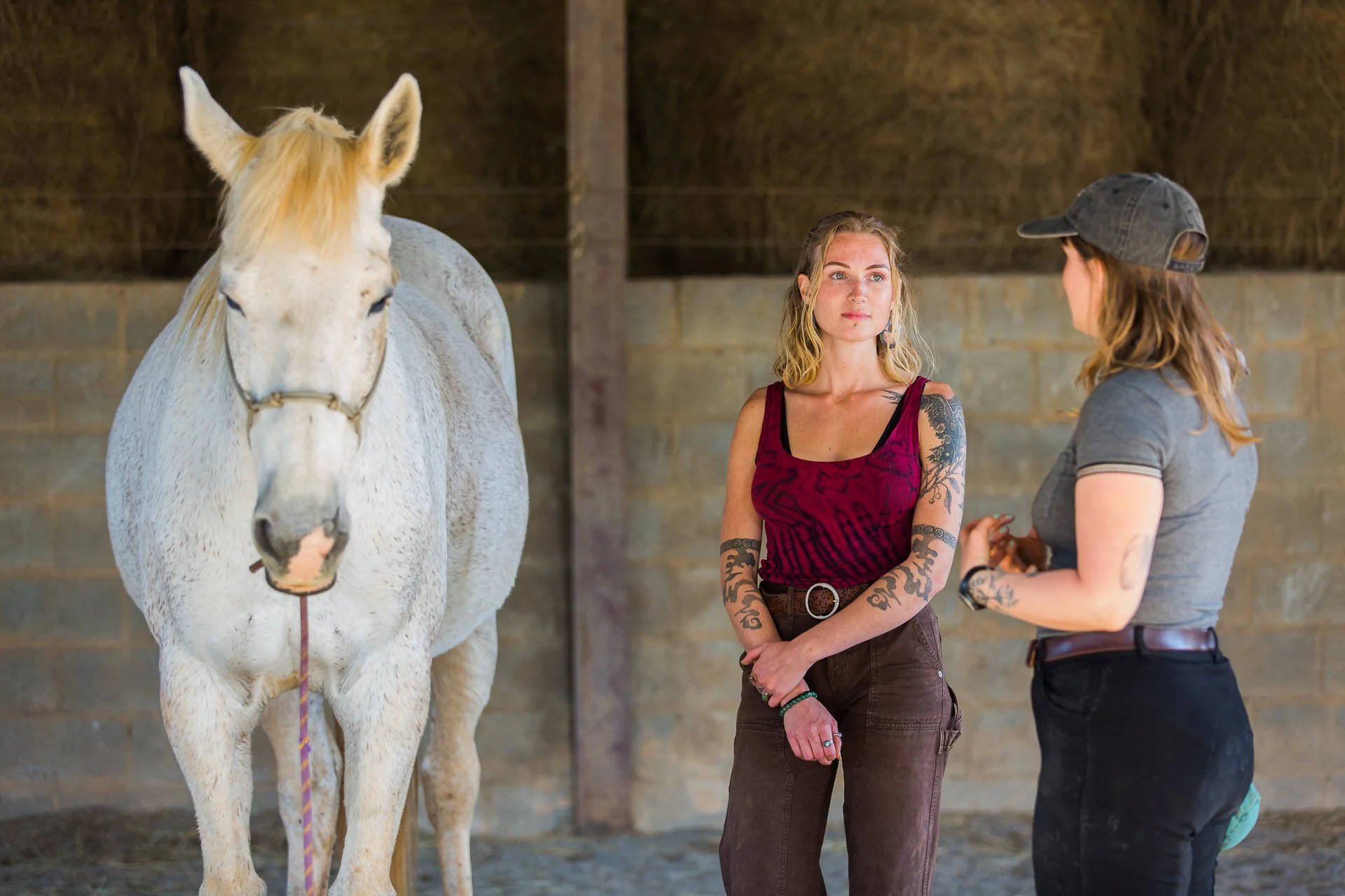 People and a horse in WNC