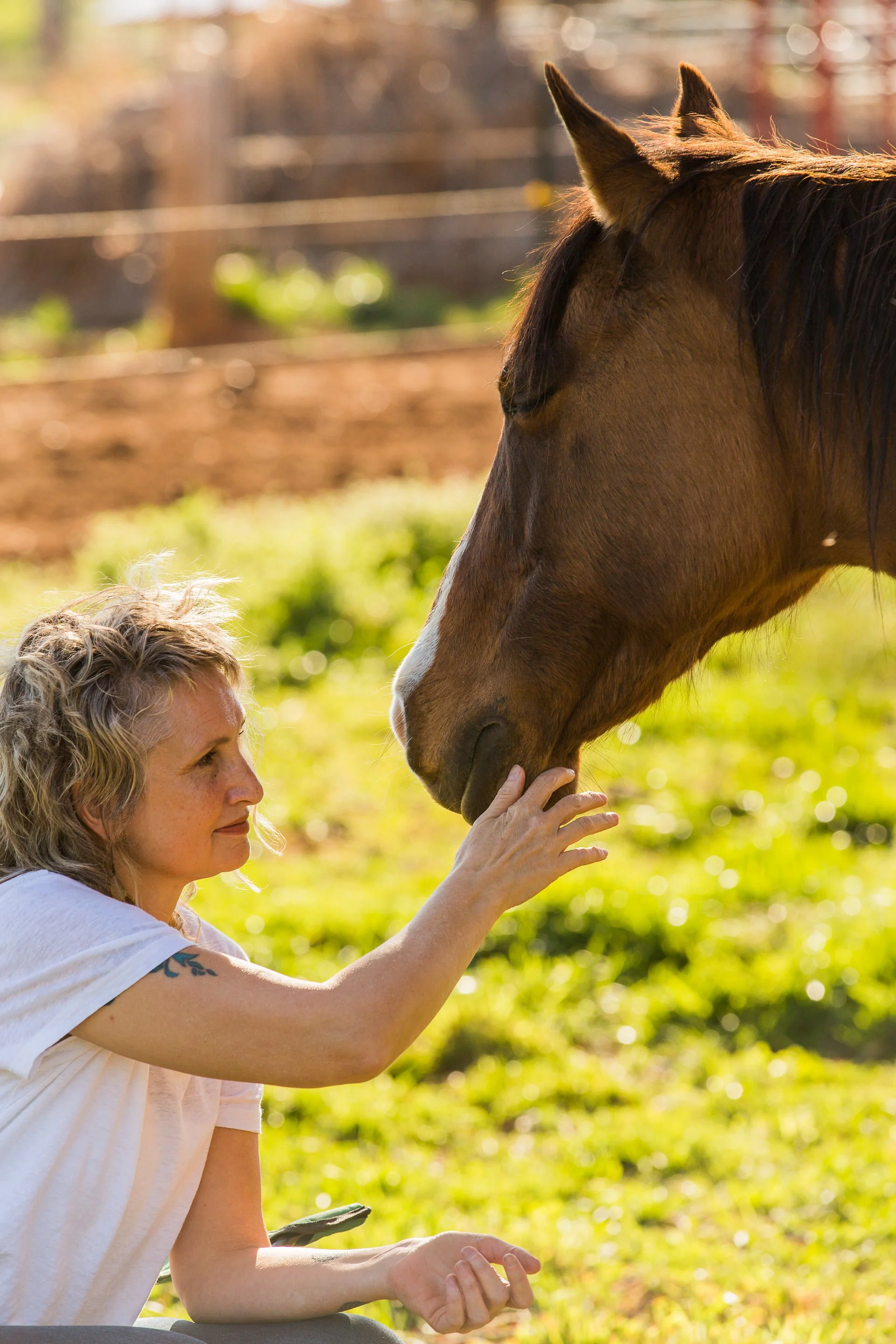 Women connecting with a horse