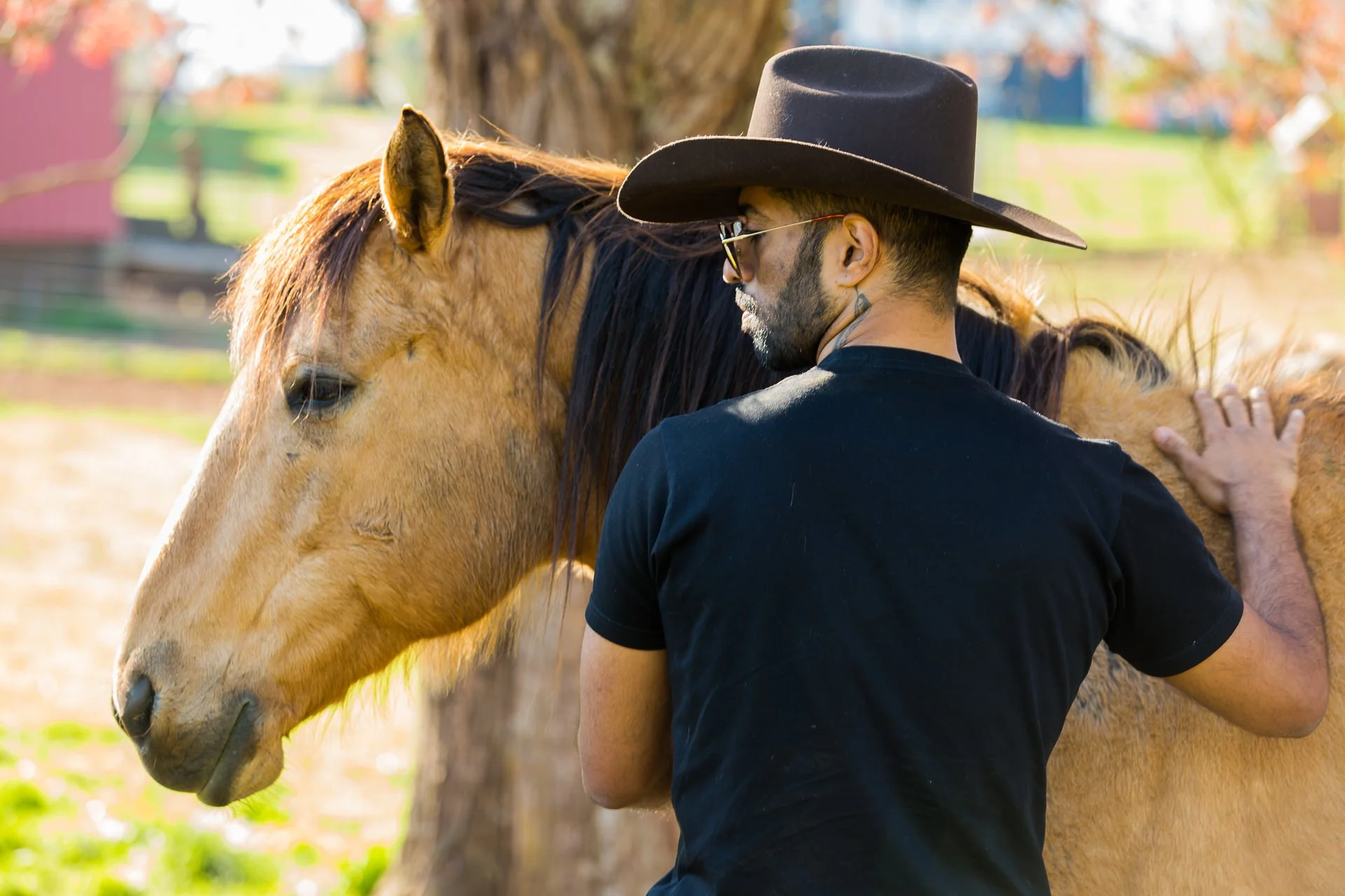Horse in Asheville with man