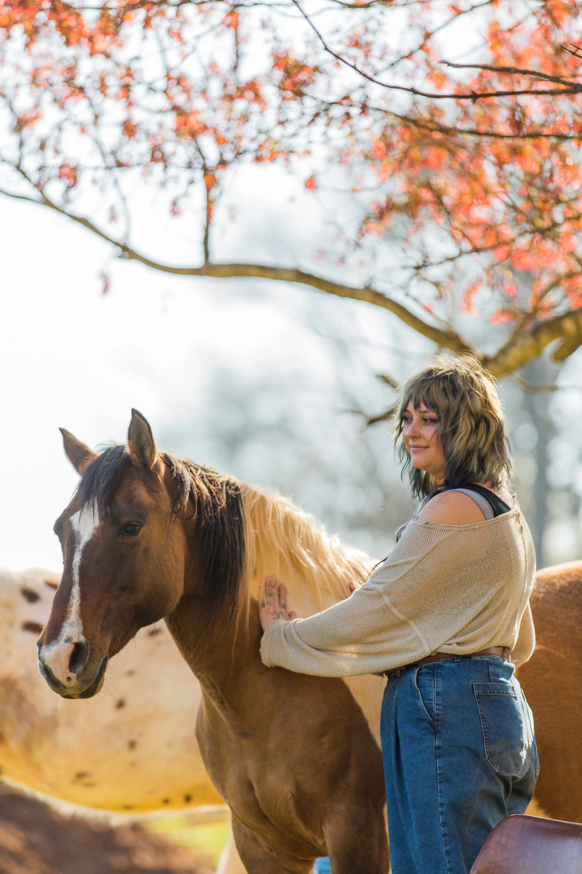 Fall with a horse in WNC