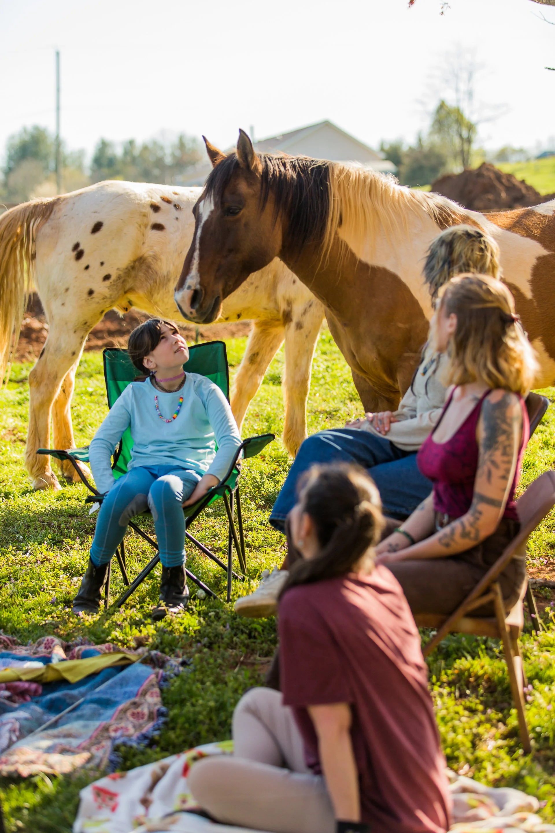 Asheville horse workshops