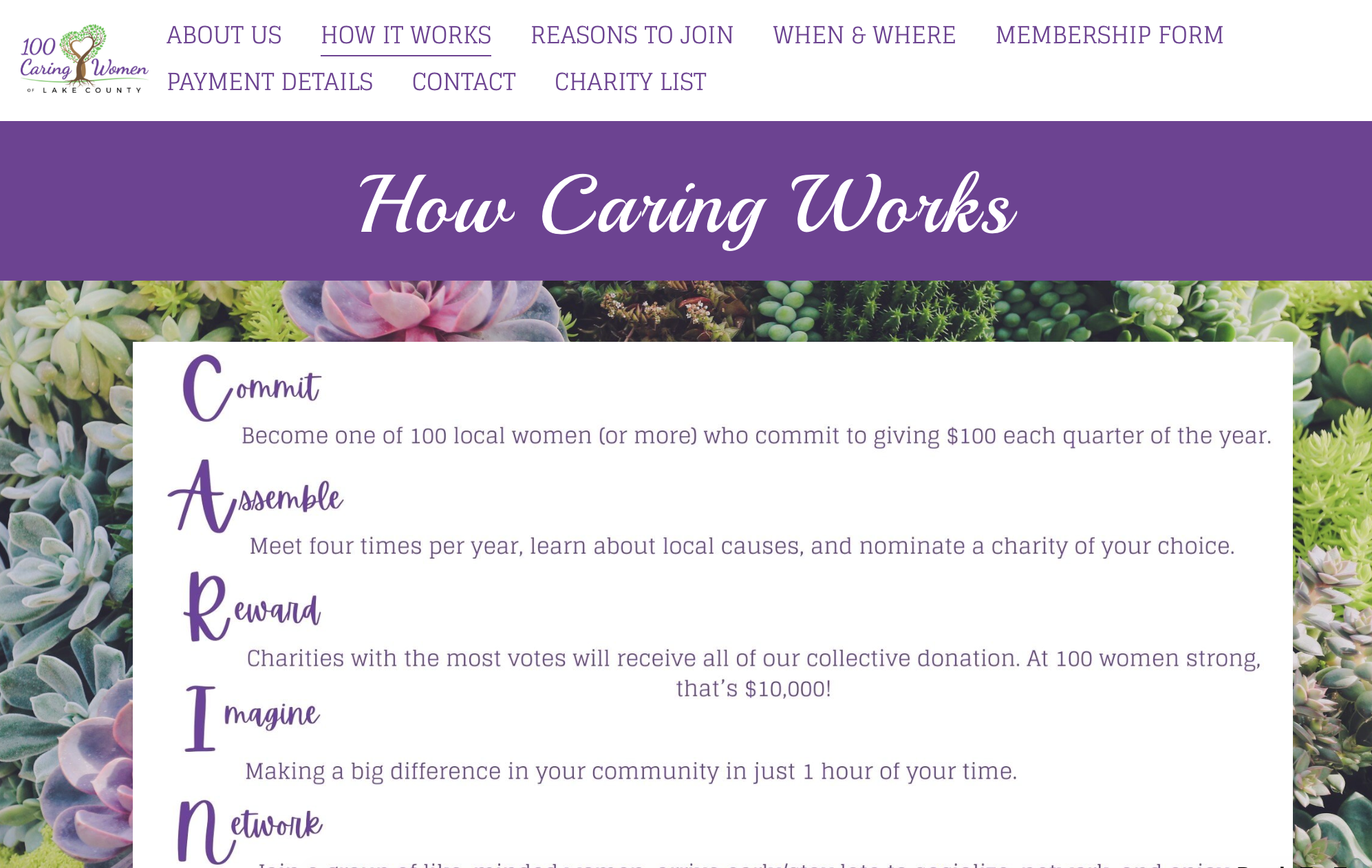 100 Caring Women of Lake County, IL