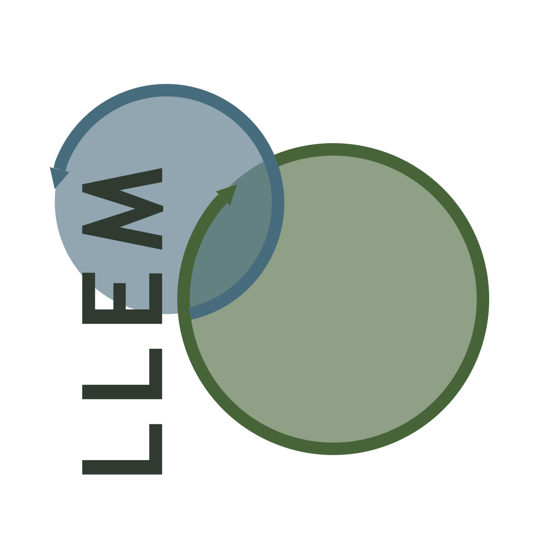 LLEM Consulting -- Environmental Performance Solutions