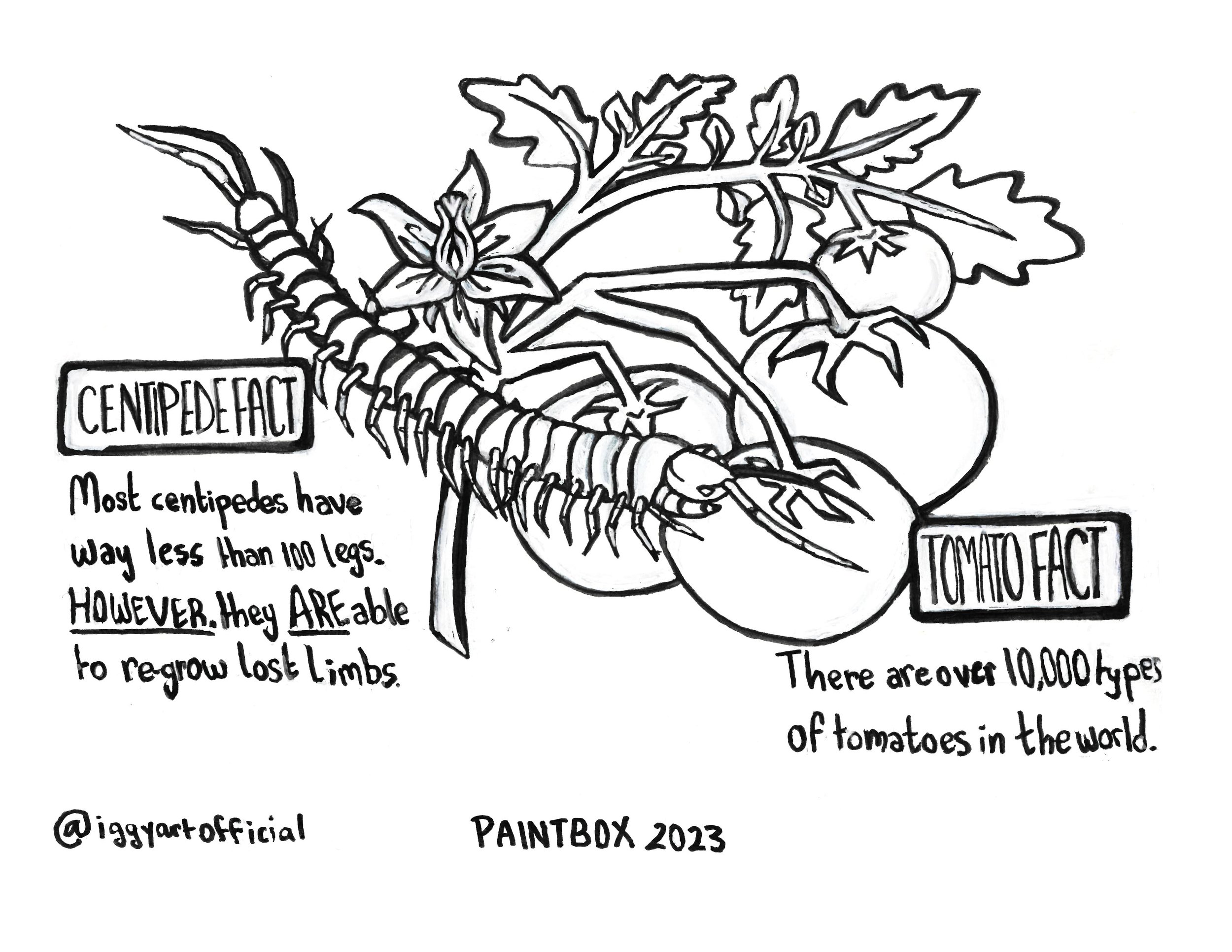 Coloring sheet to hand out onsite