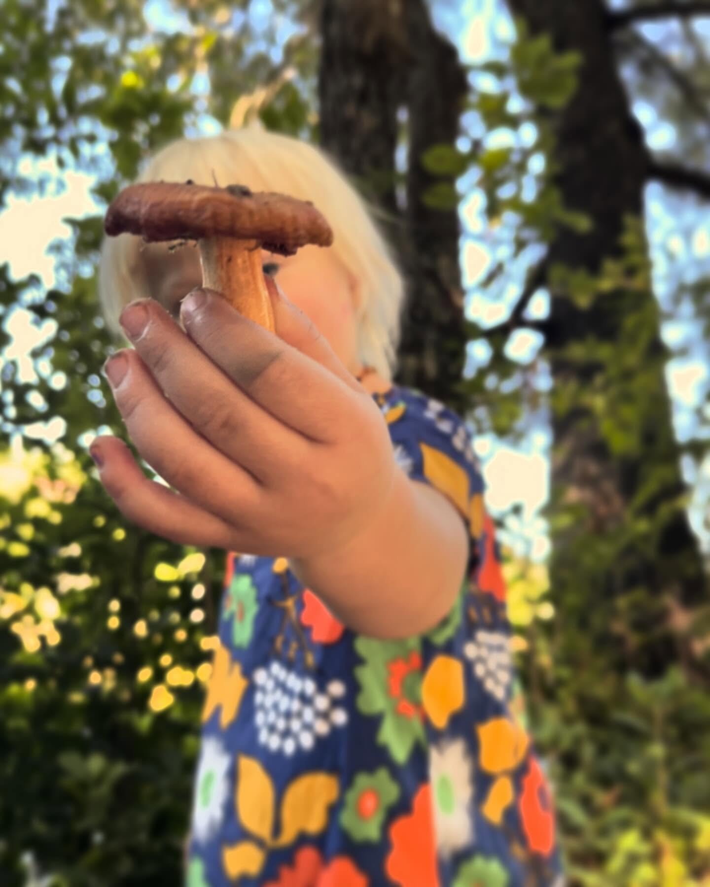 This is such a season of change, and growth continues as leaves fall! Mushroom season prompts a reminder of the needed growth and regeneration that it&rsquo;s ever continuing. 

Finding a way to honor the season of change is so important for mamas, p