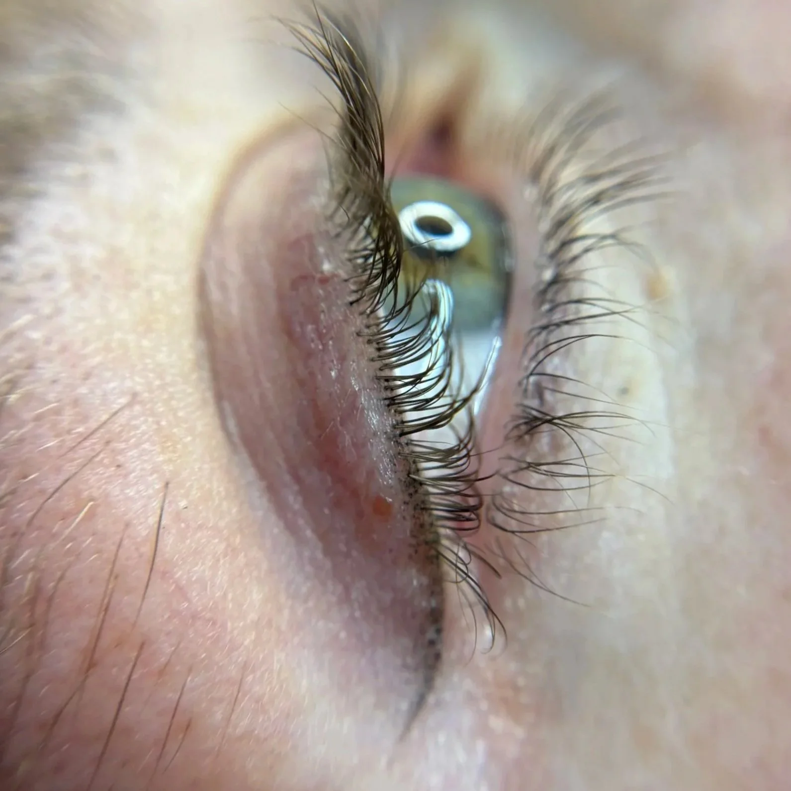 Silk Eye Liner permanent eyeliner Toronto — natural lash line tattoo by Gentle Ink