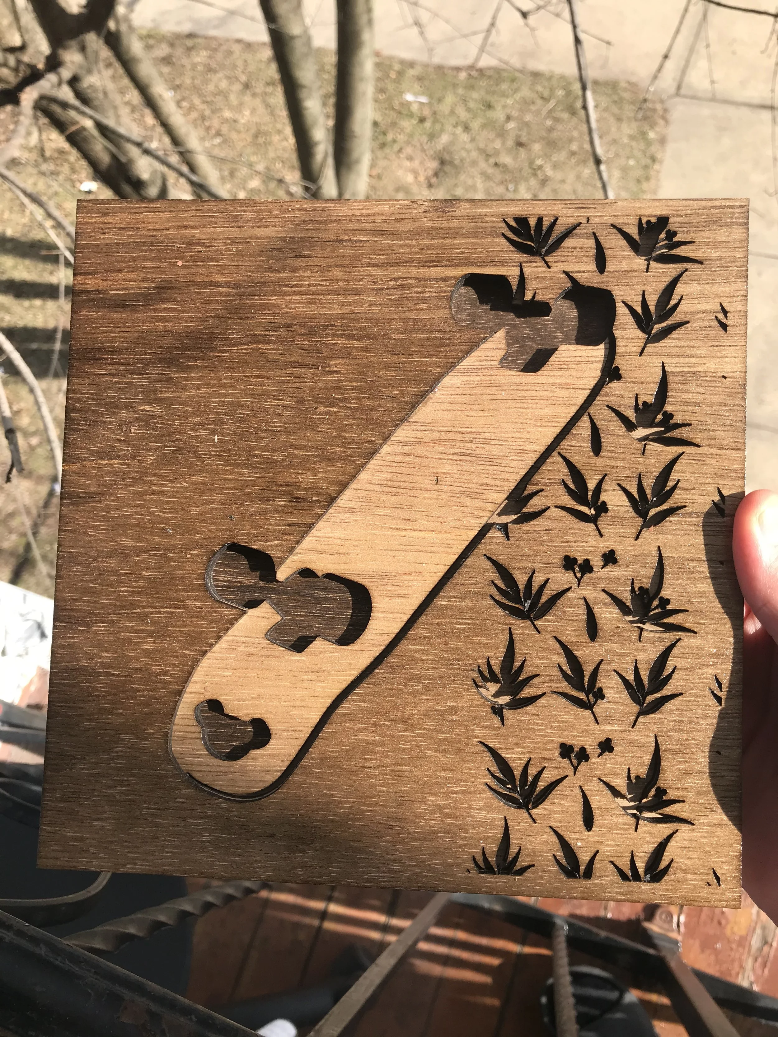 Another Koala Boards piece - a skateboard with the logo on the tail and eucalyptus leaves in the background.