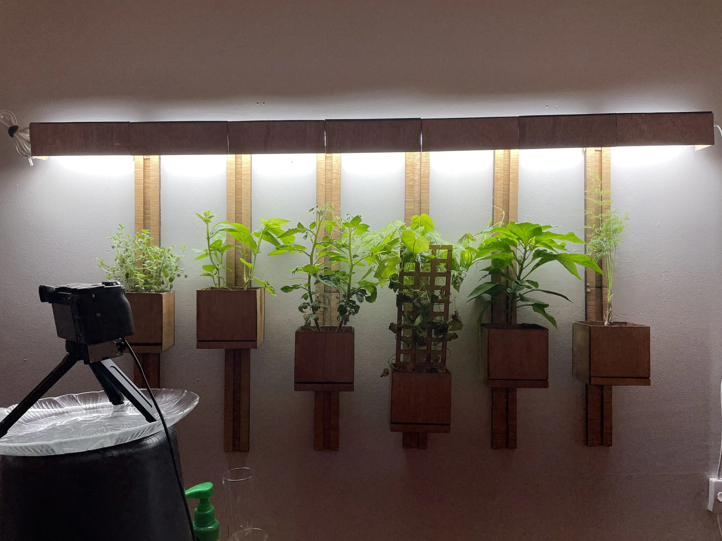 A wall garden with a built in light and individually adjustable pots and integrated drainage system. Made on a small laser cutter in the bedroom of my NYC apartment (hence the sections). All of the plants you see were grown from seeds. I originally m