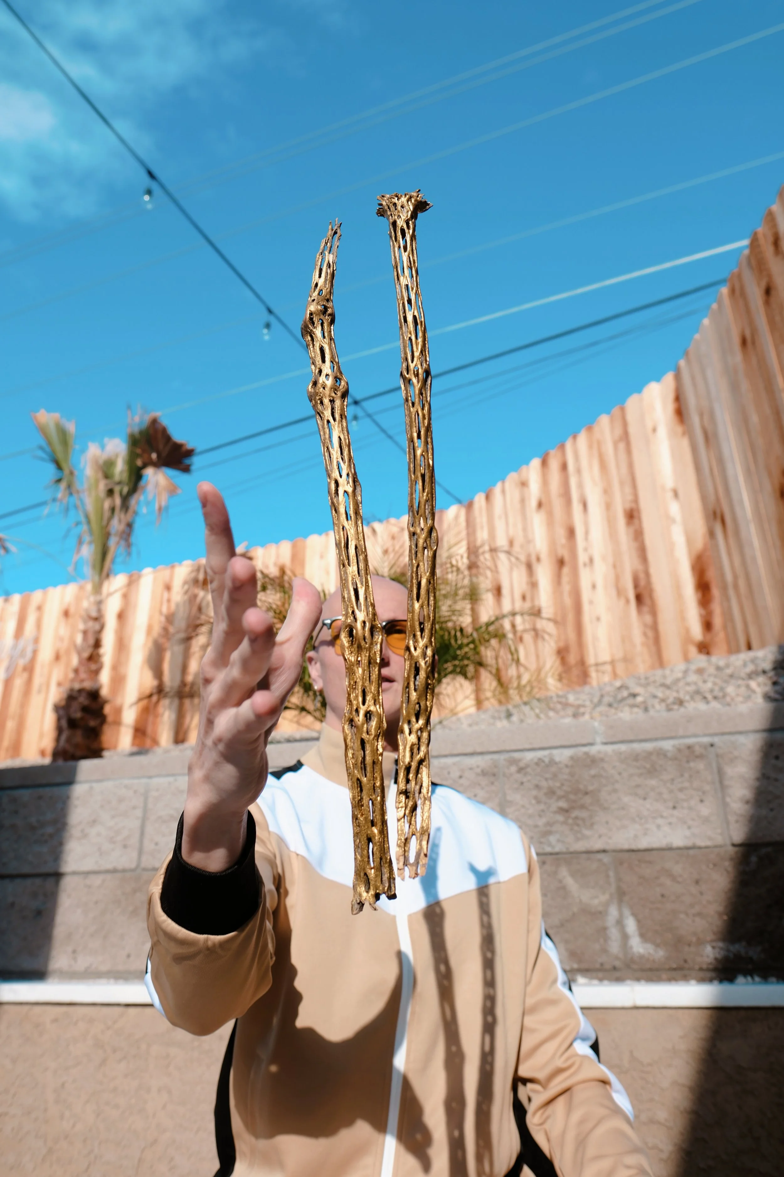 The Banish Branch™