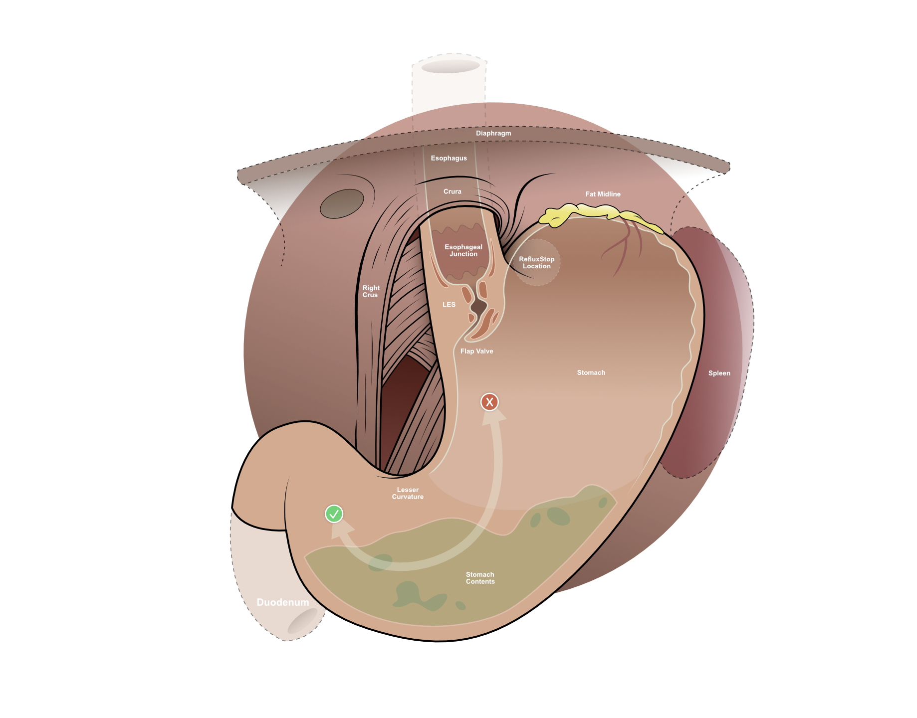 Screenshot 2026-04-06 at 10.58.56 AM.png