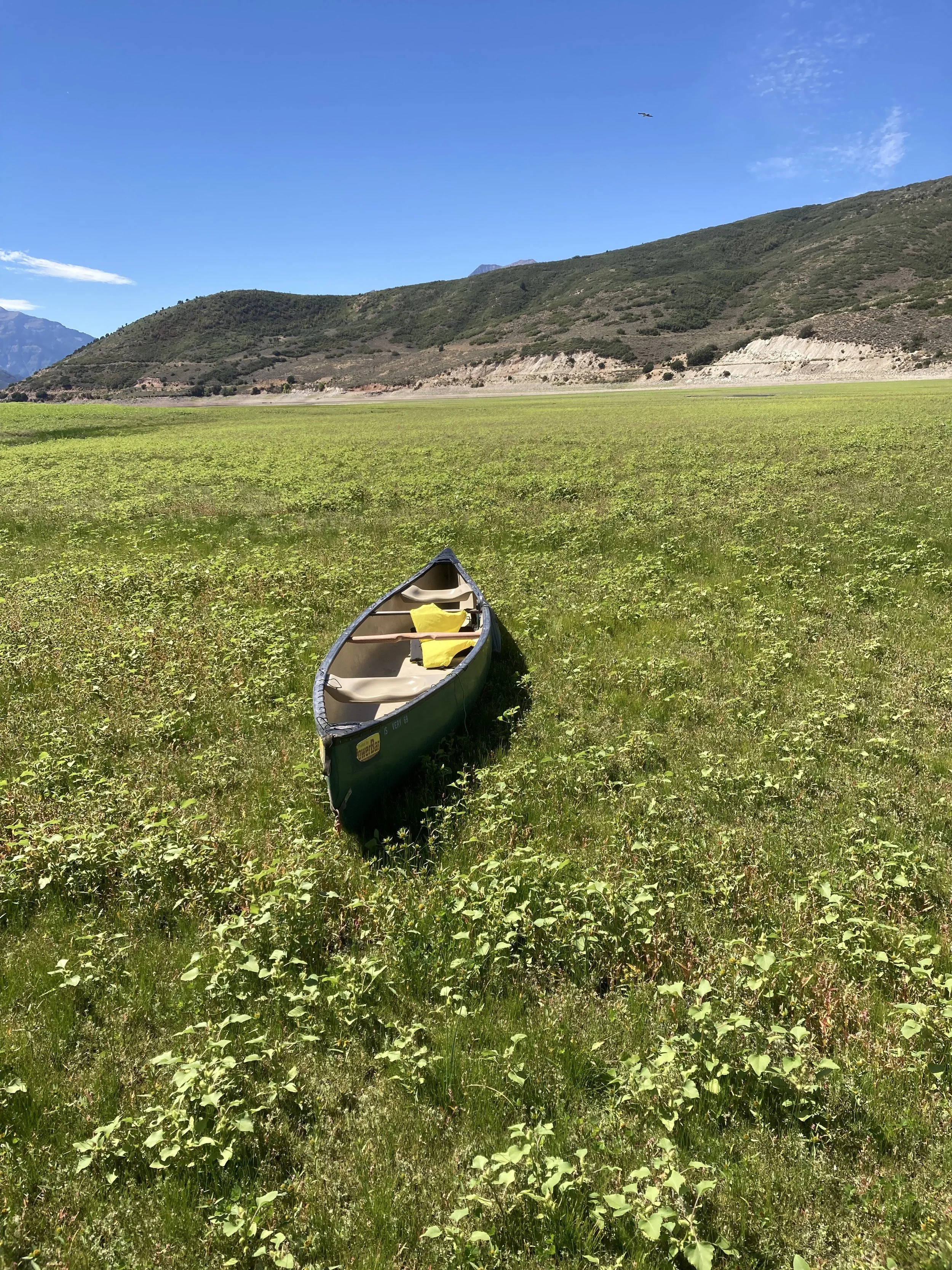 Putting it to the Adventure