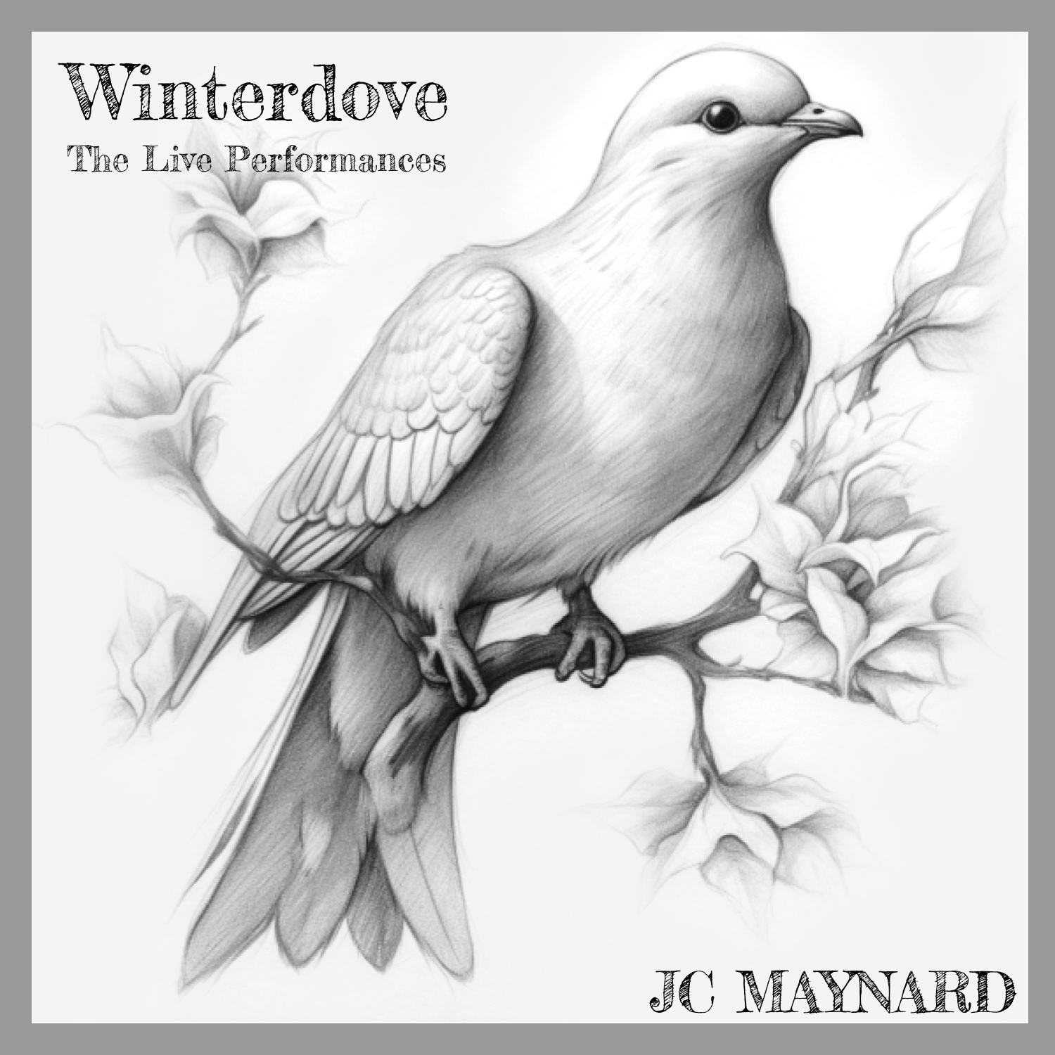 Winterdove2.png