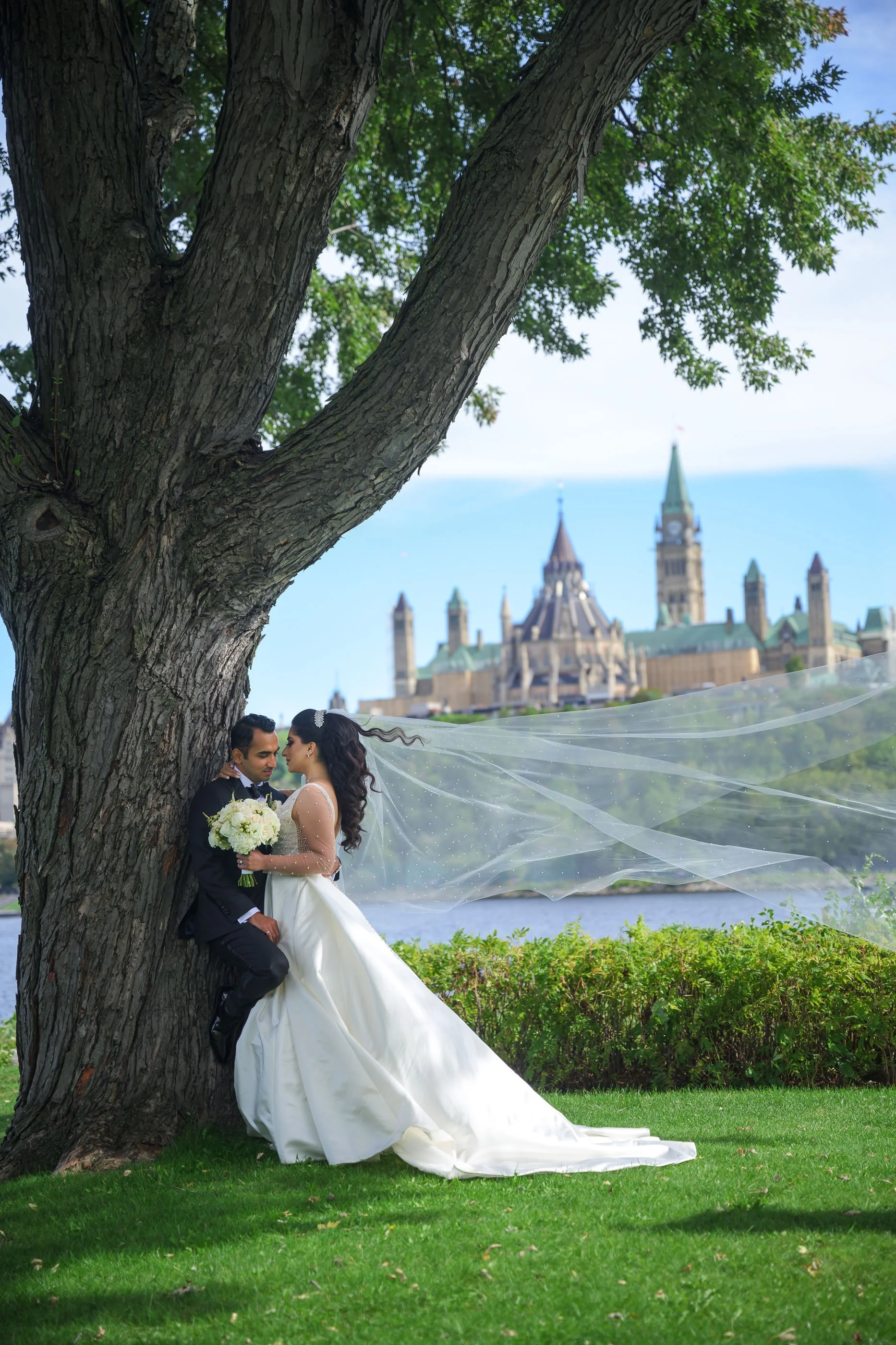 A bride and groom standing under a large tree, with the bride's veil flowing in the breeze, and a cityscape with a castle-like building in the background.