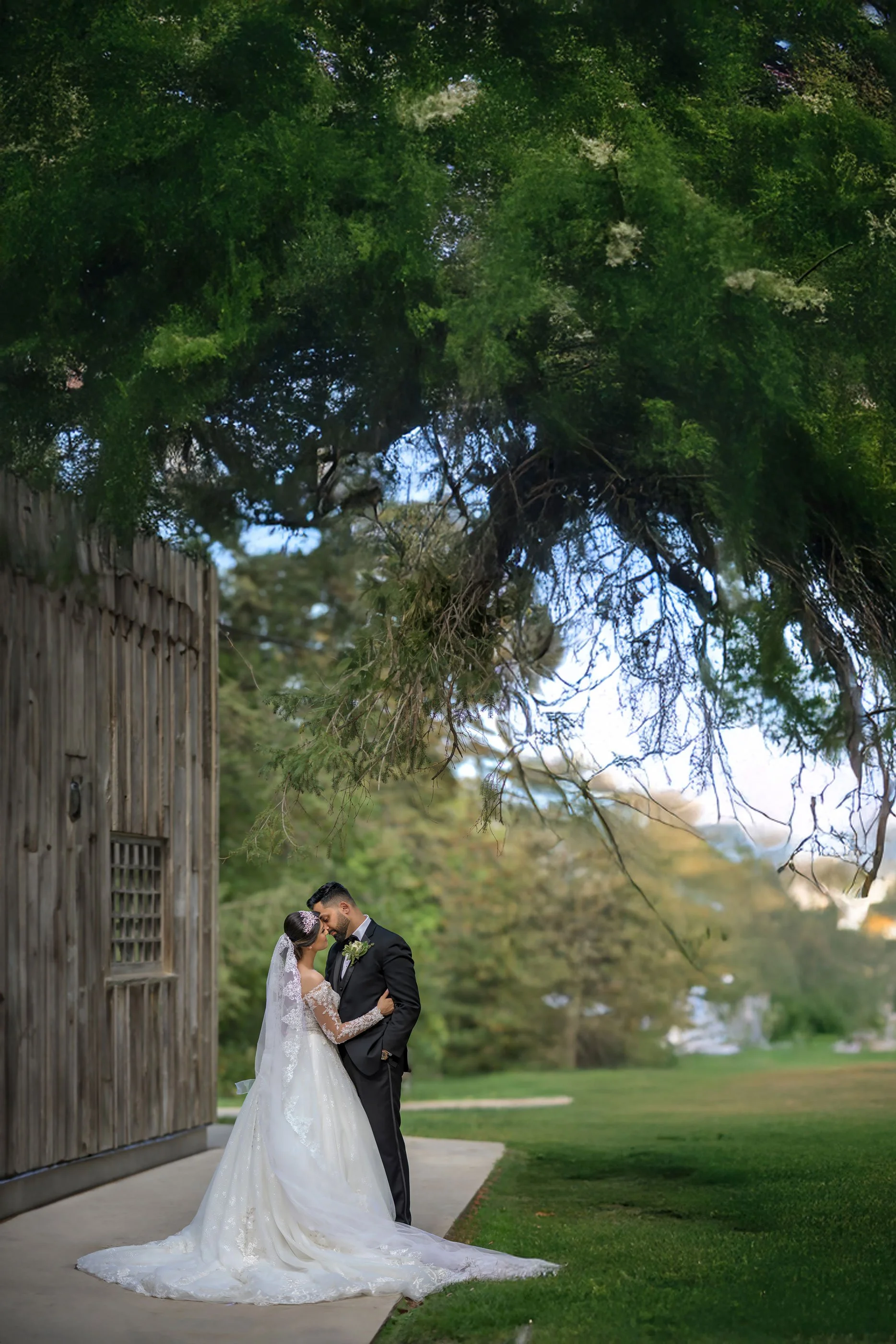 A bride and groom in wedding attire embrace outdoors beneath a large leafy tree, next to a rustic wooden building, with a grassy lawn in the background.