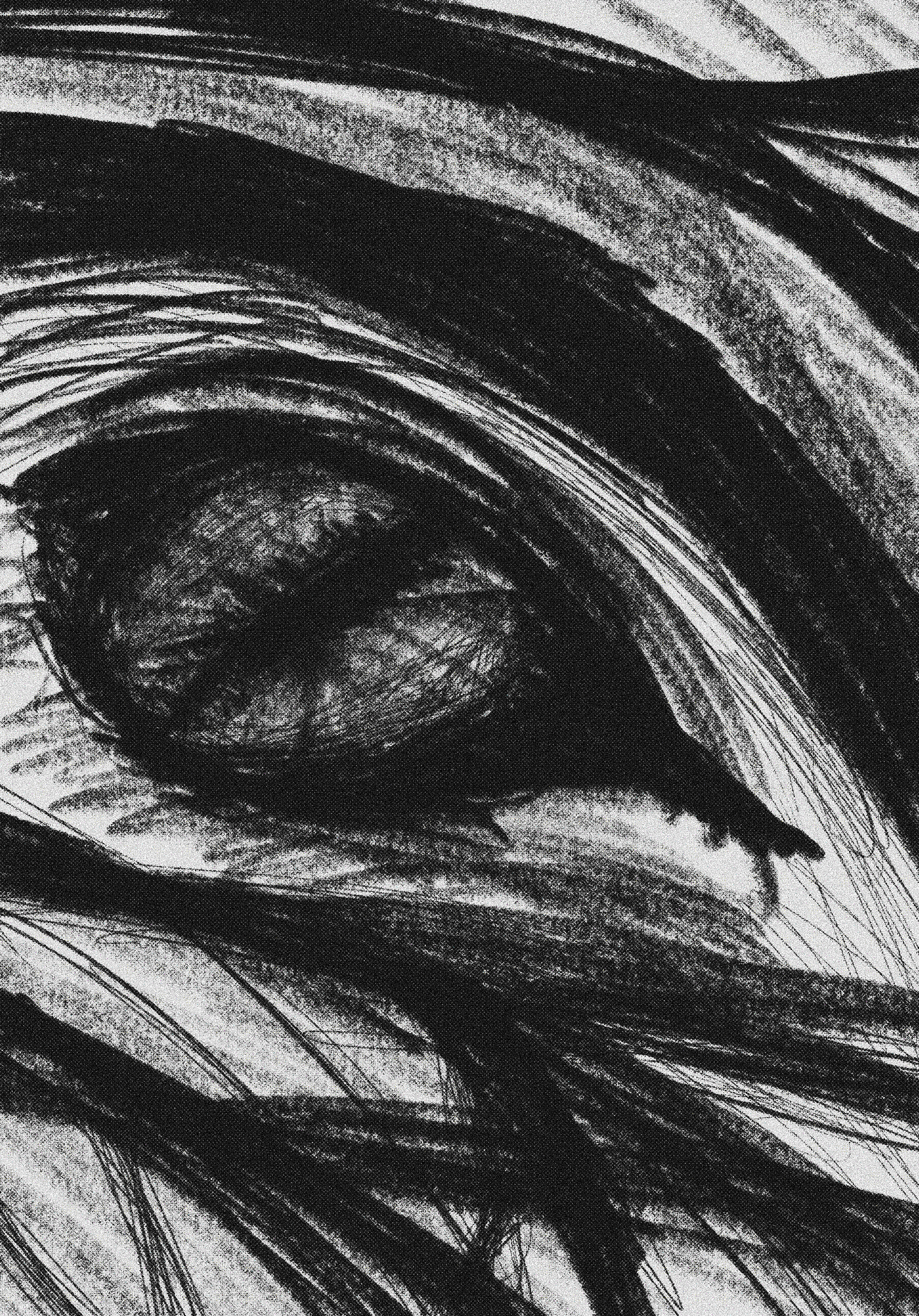 Untitled_Artwork 4.png