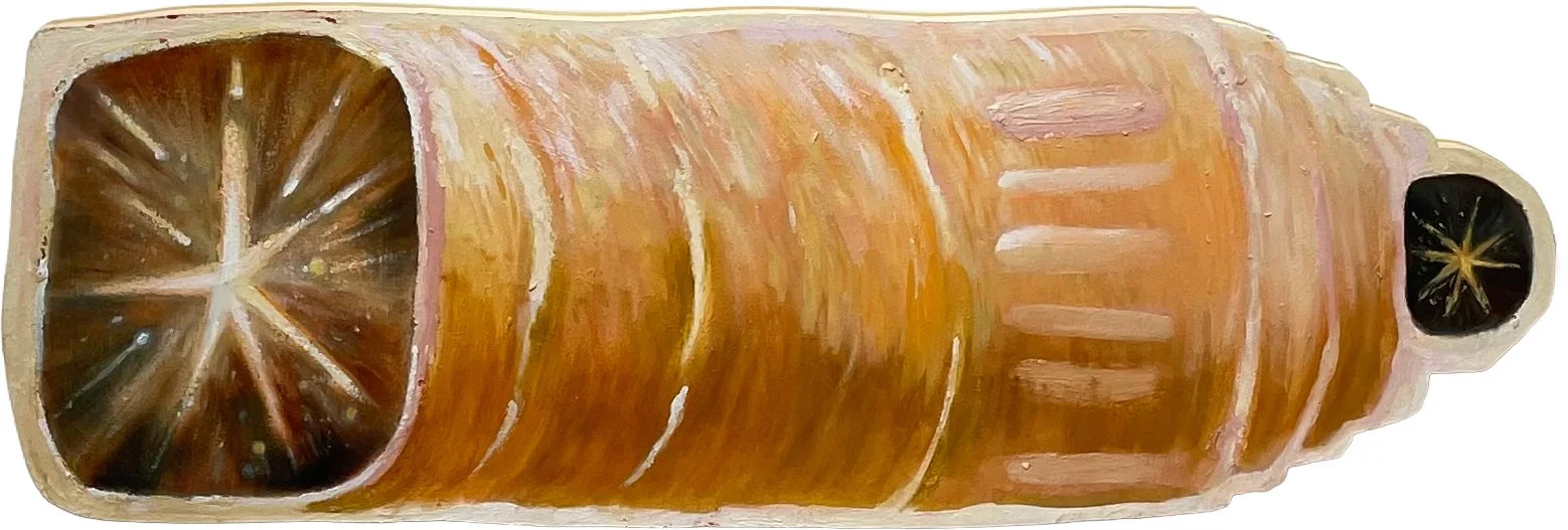 별을 찾아서_Oil on Wood_80x27_2026.jpg