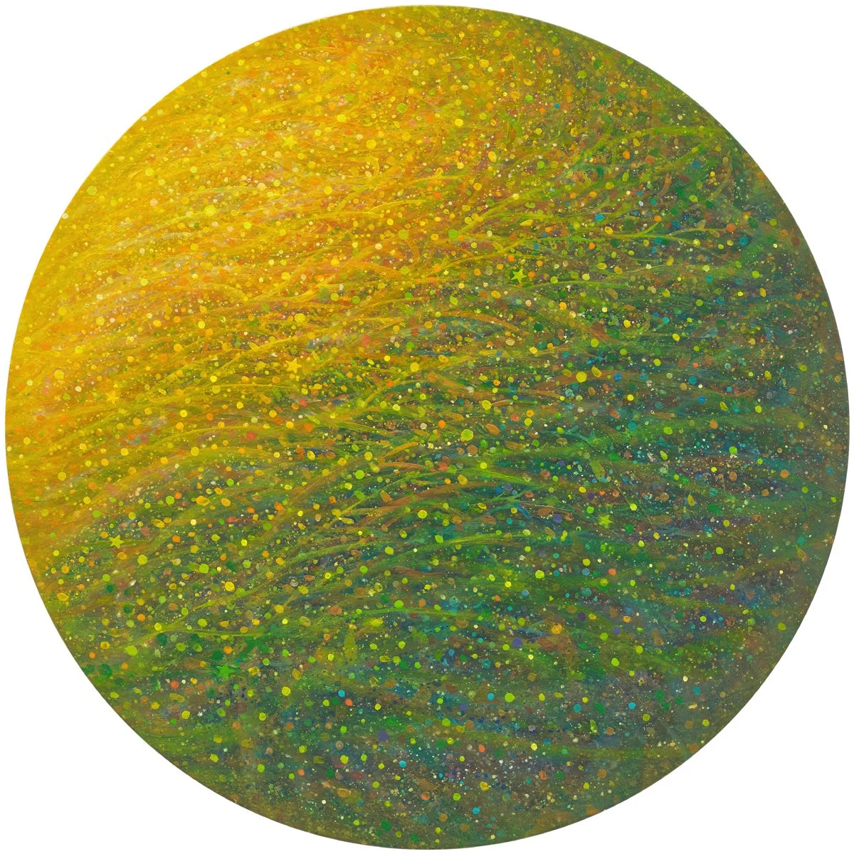 3 조상은, 소우주 no.03, 40×40cm, Oil on canvas, 2023~2024 (130만원).jpg