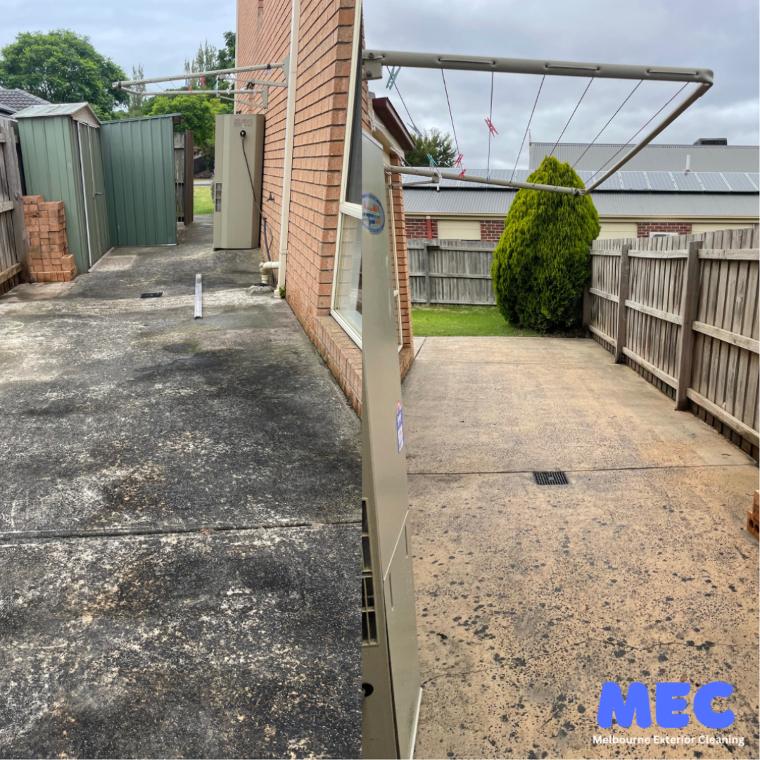 Untitled design-3.png