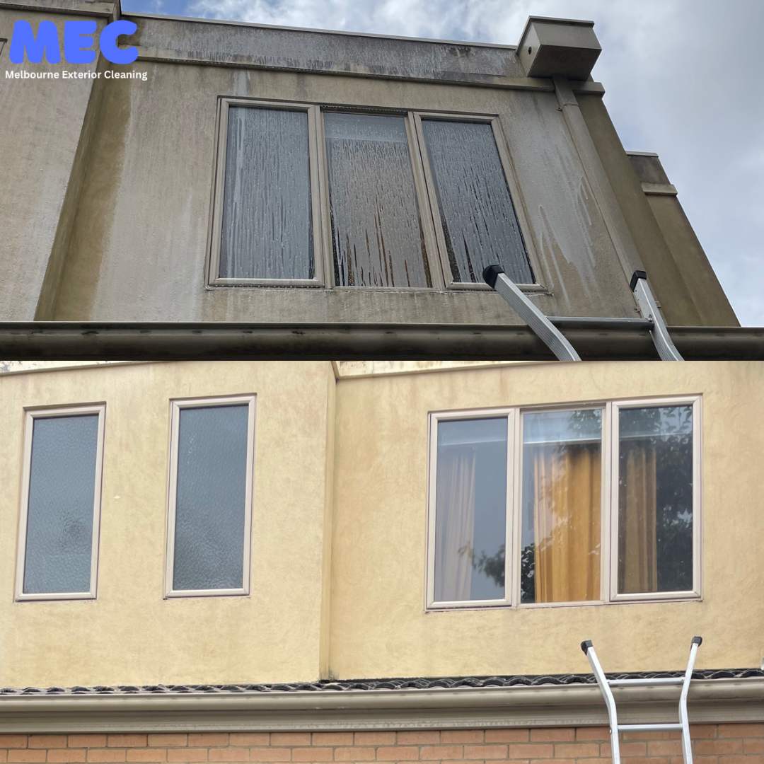 Untitled design-3.png