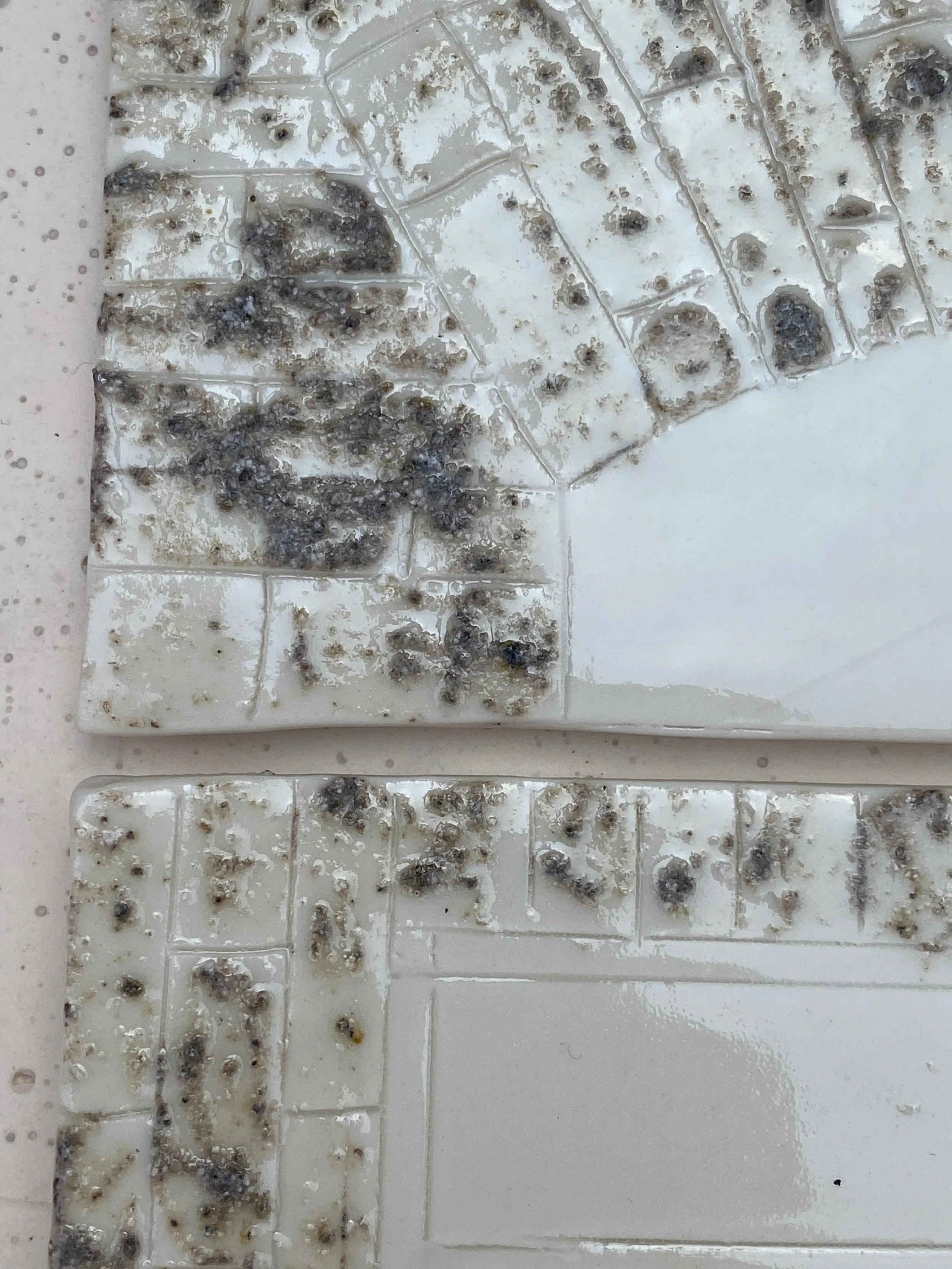 07_Steve Detail.jpeg