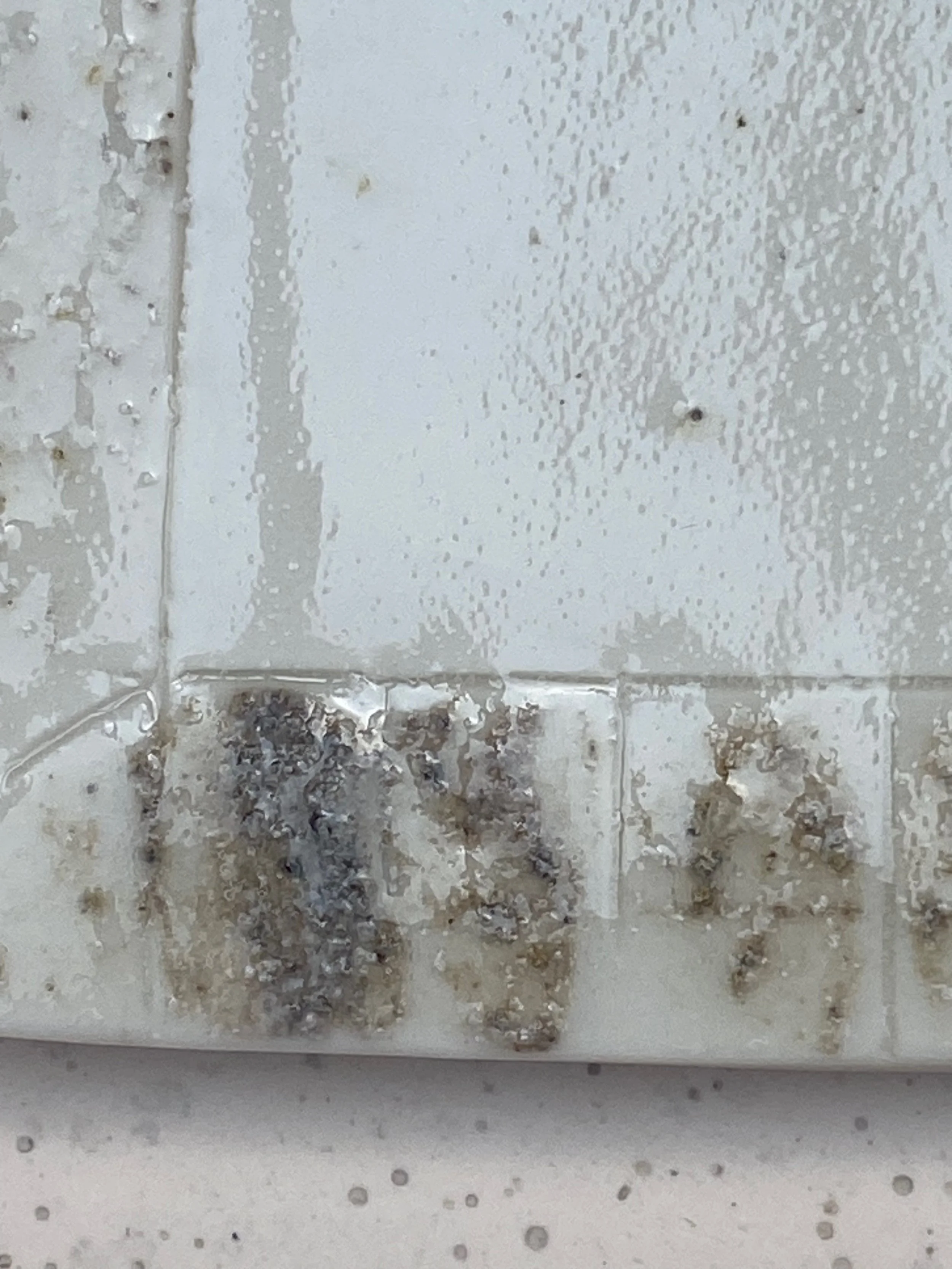 08_Steve Detail.jpeg