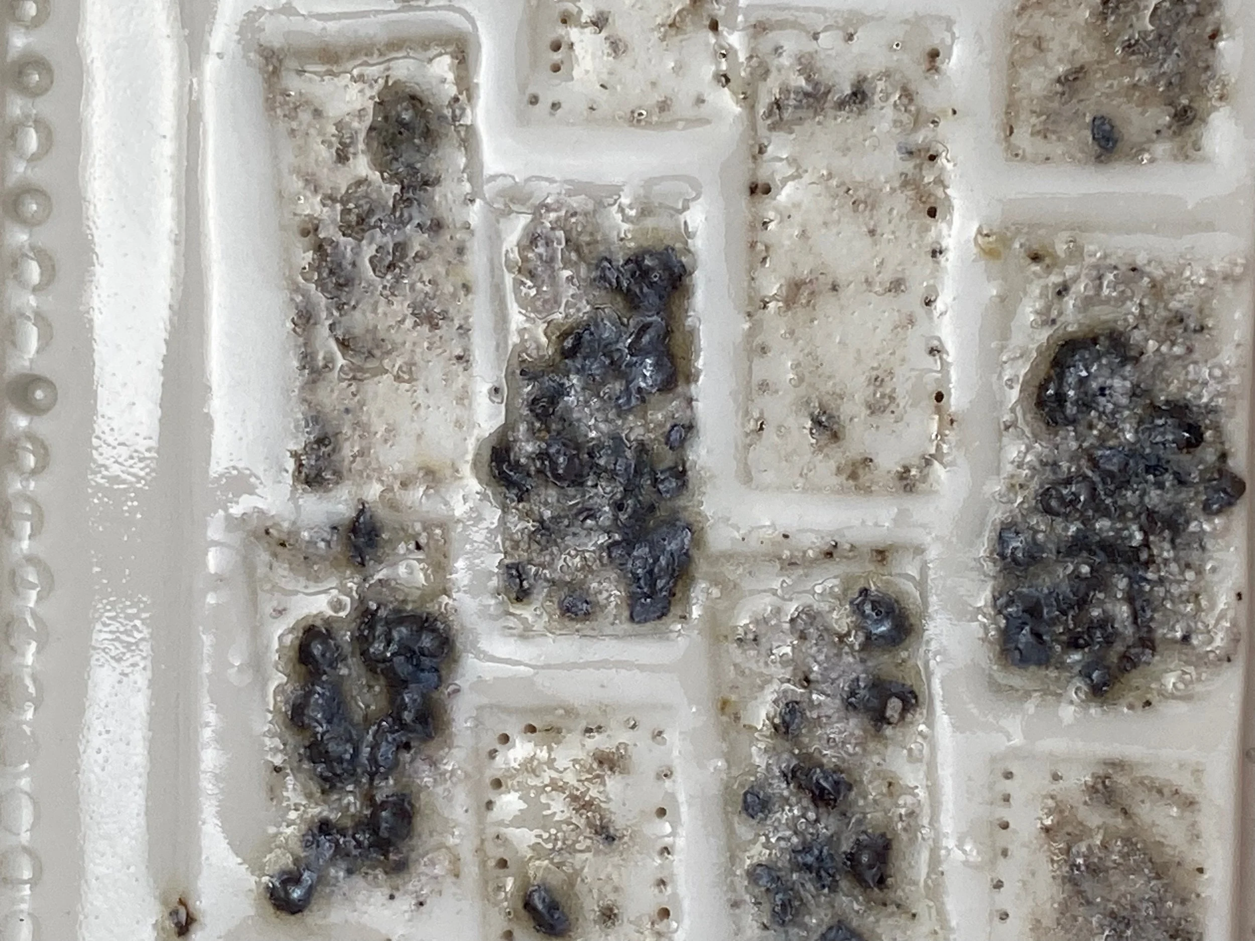 11_Nelly Detail.jpeg