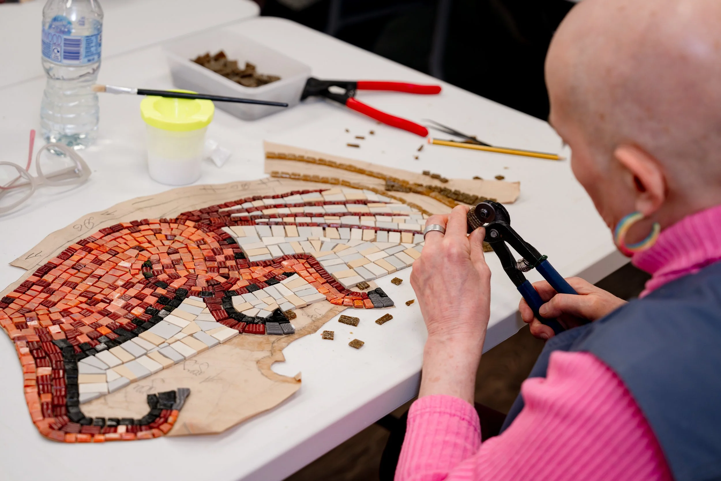 007_ABH_Mosaic_workshop_23042026_MSP.jpg