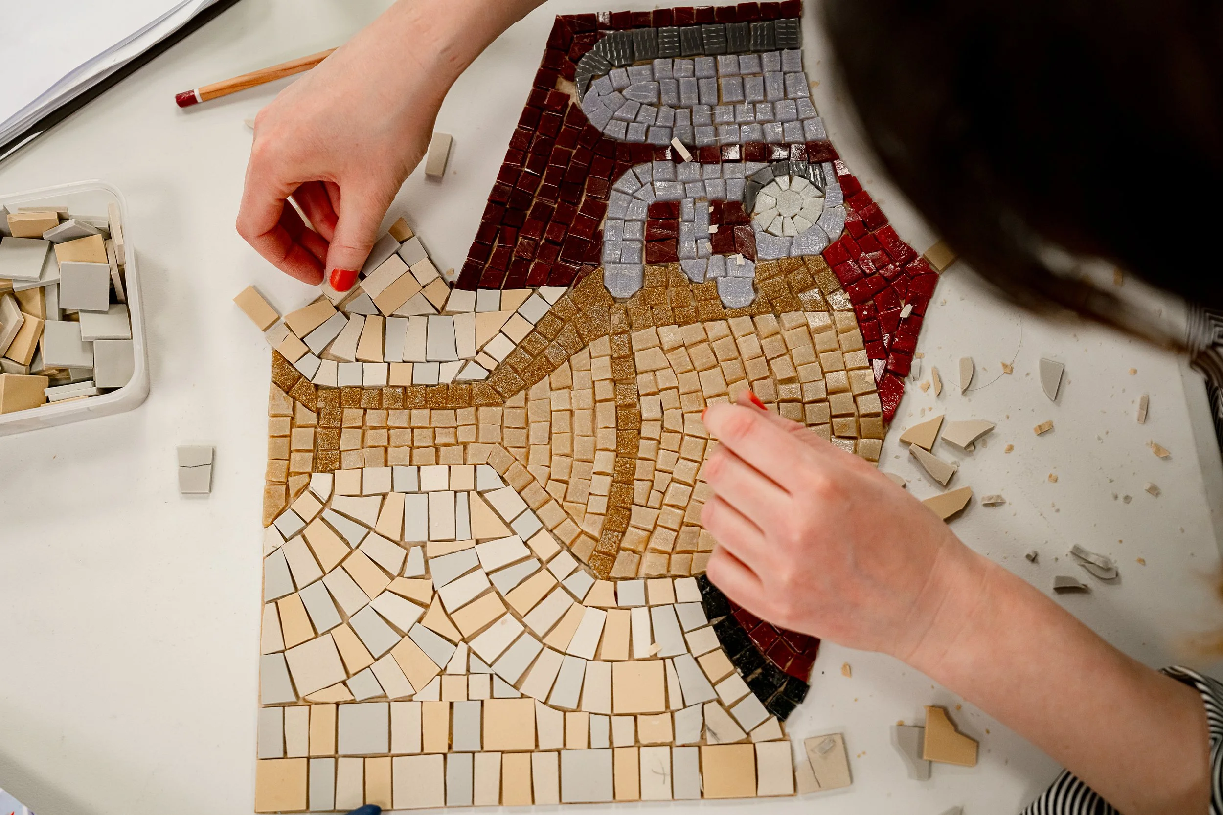 031_MOSAIC_WORLSHOP_140526_ABH_MSP.jpg