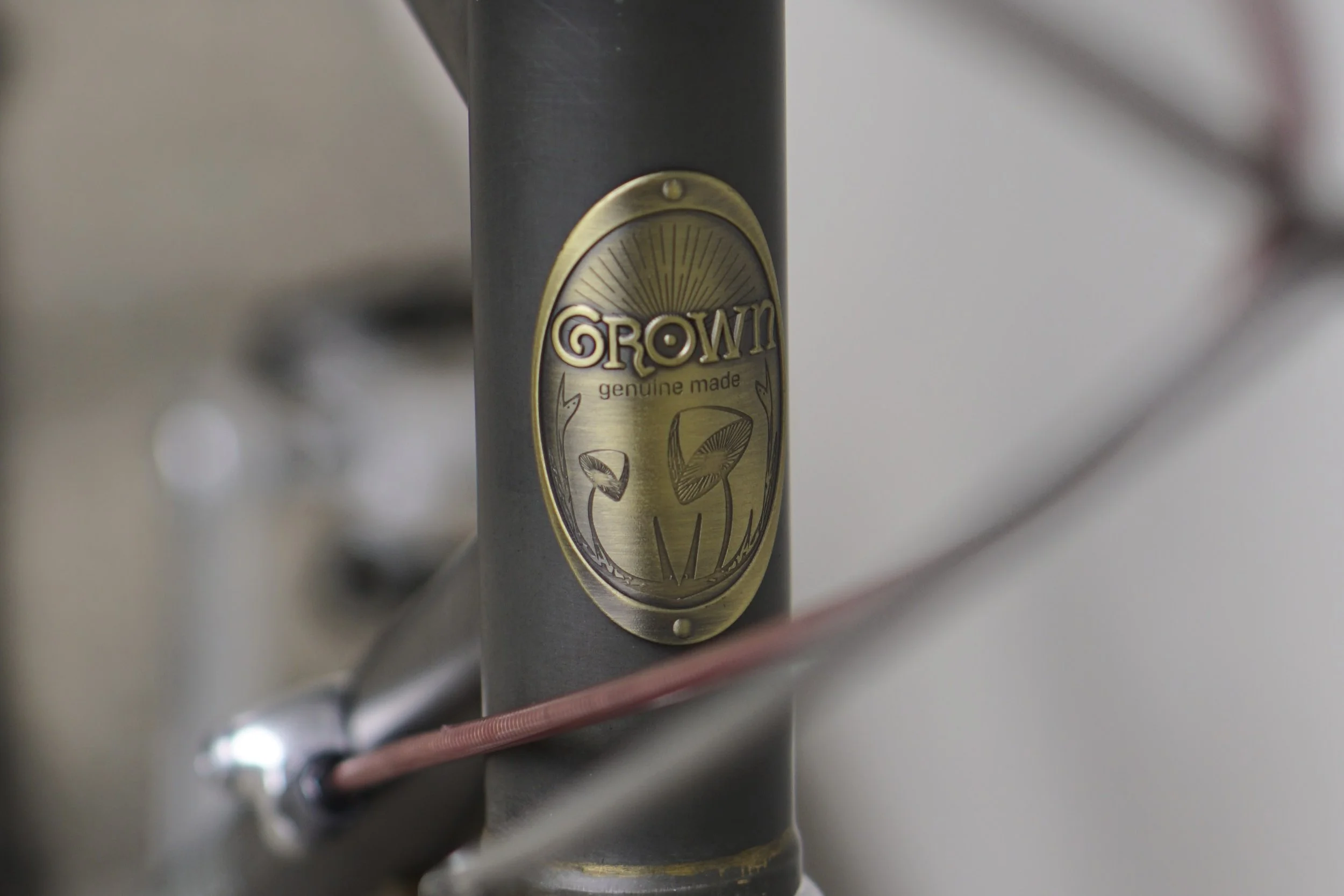 GROWNBIKE 大阪 (10).JPG