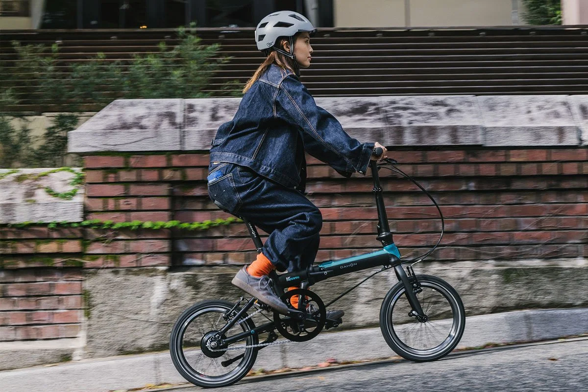 bicycleinnpark_1.jpg