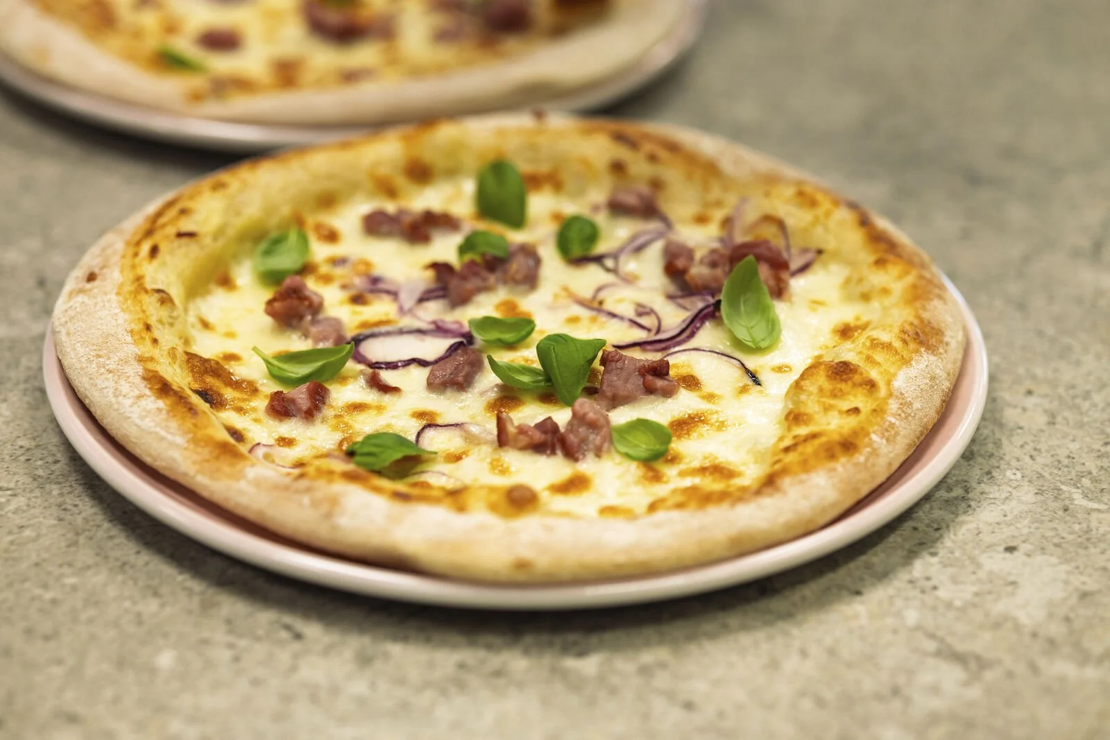 2025-09 Gnist Vest_2925.jpg