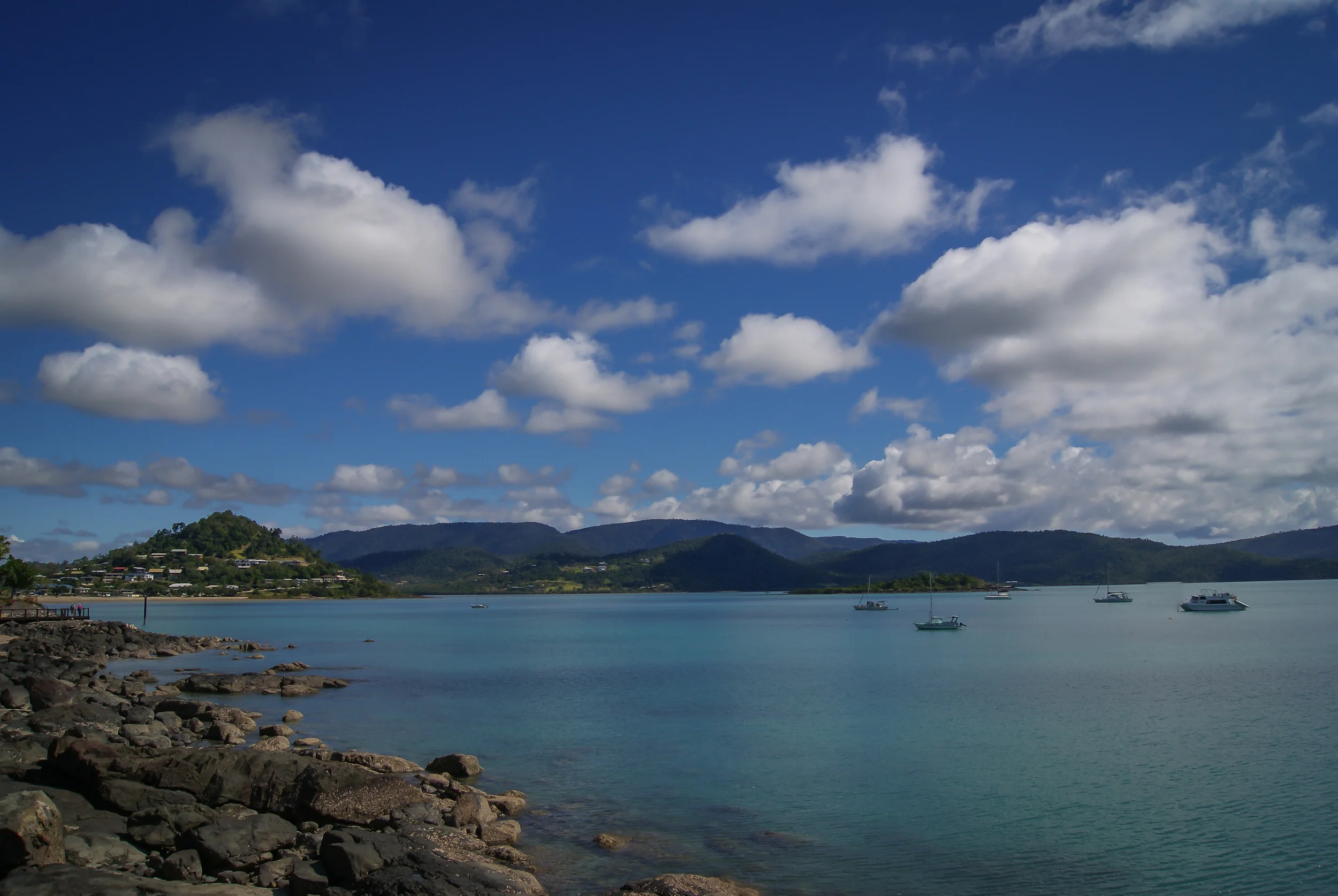 DSC04237.jpg