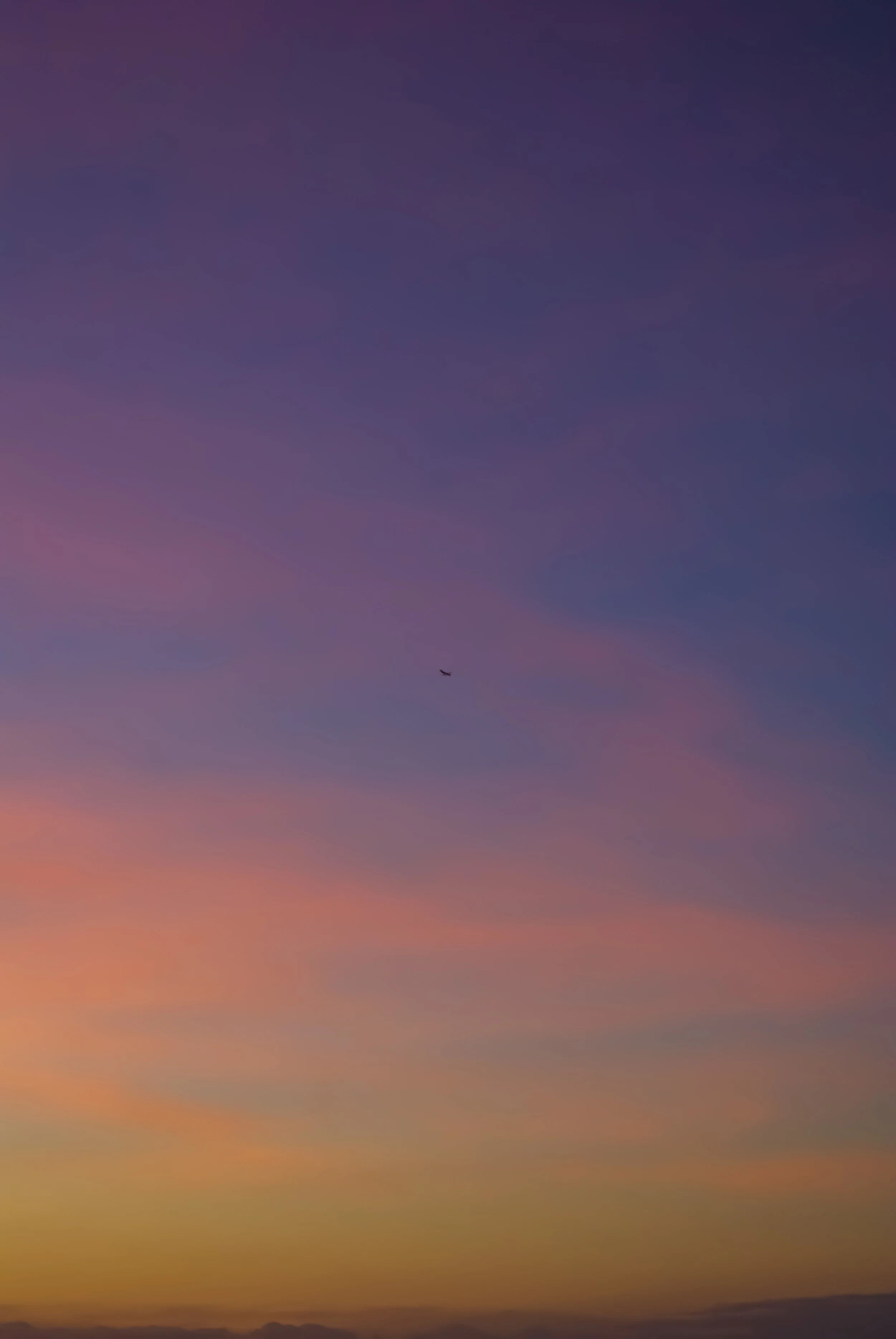 DSC06069.jpg