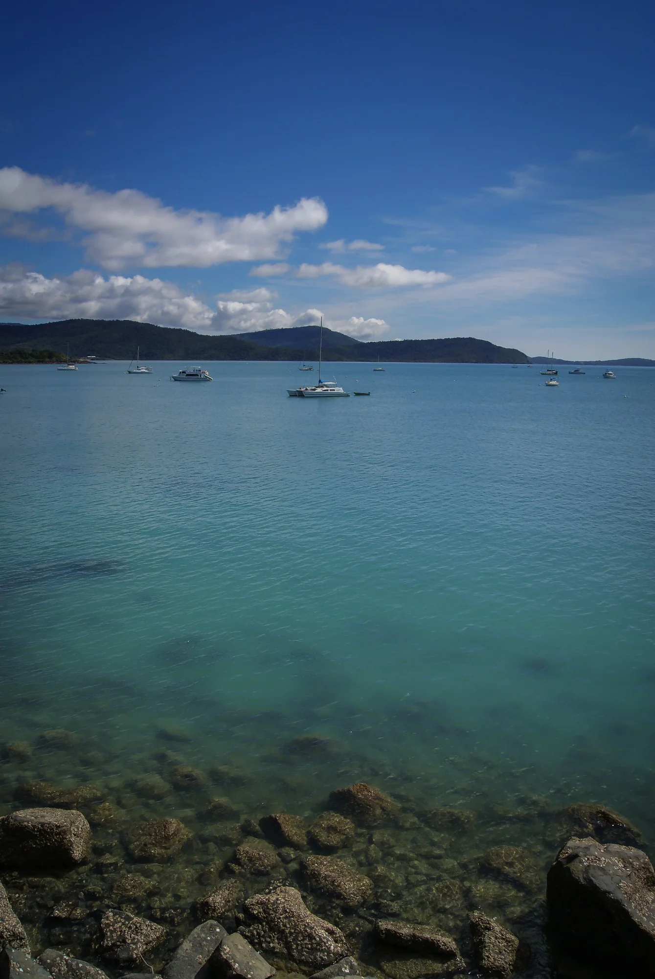 DSC04222.jpg