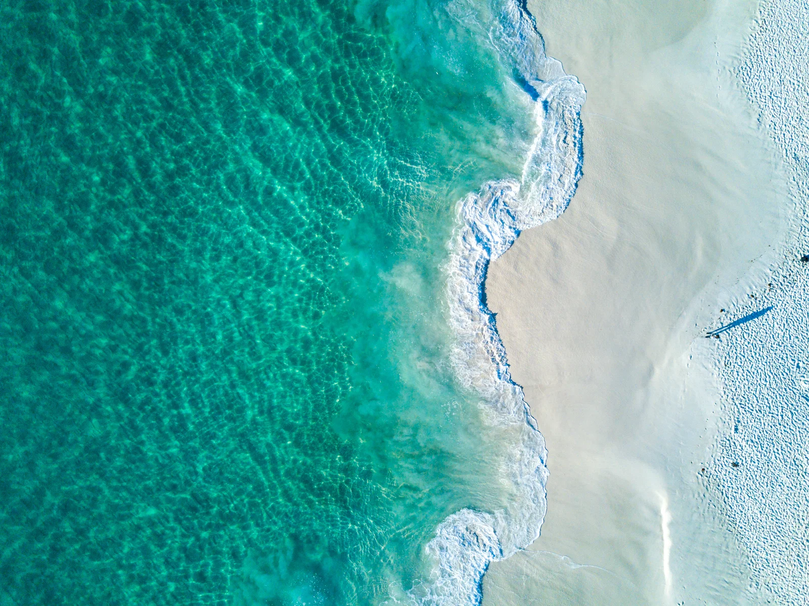 DJI_0029.jpg