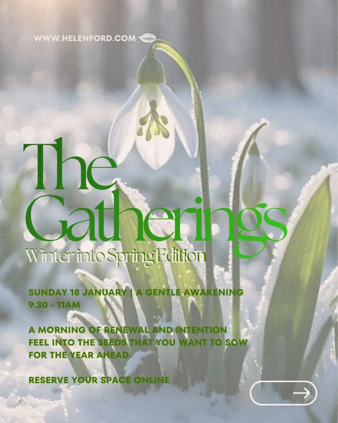 ⠀⠀⠀⠀⠀⠀⠀⠀⠀
{ T H E  G A T H E R I N G S }

I&rsquo;m looking forward to our 2nd in-person Gathering on January 18th, 2026. Our Solstice Gathering was so gentle and nurturing. My intention for this one is to gently awaken into 2026 and sow some seeds r