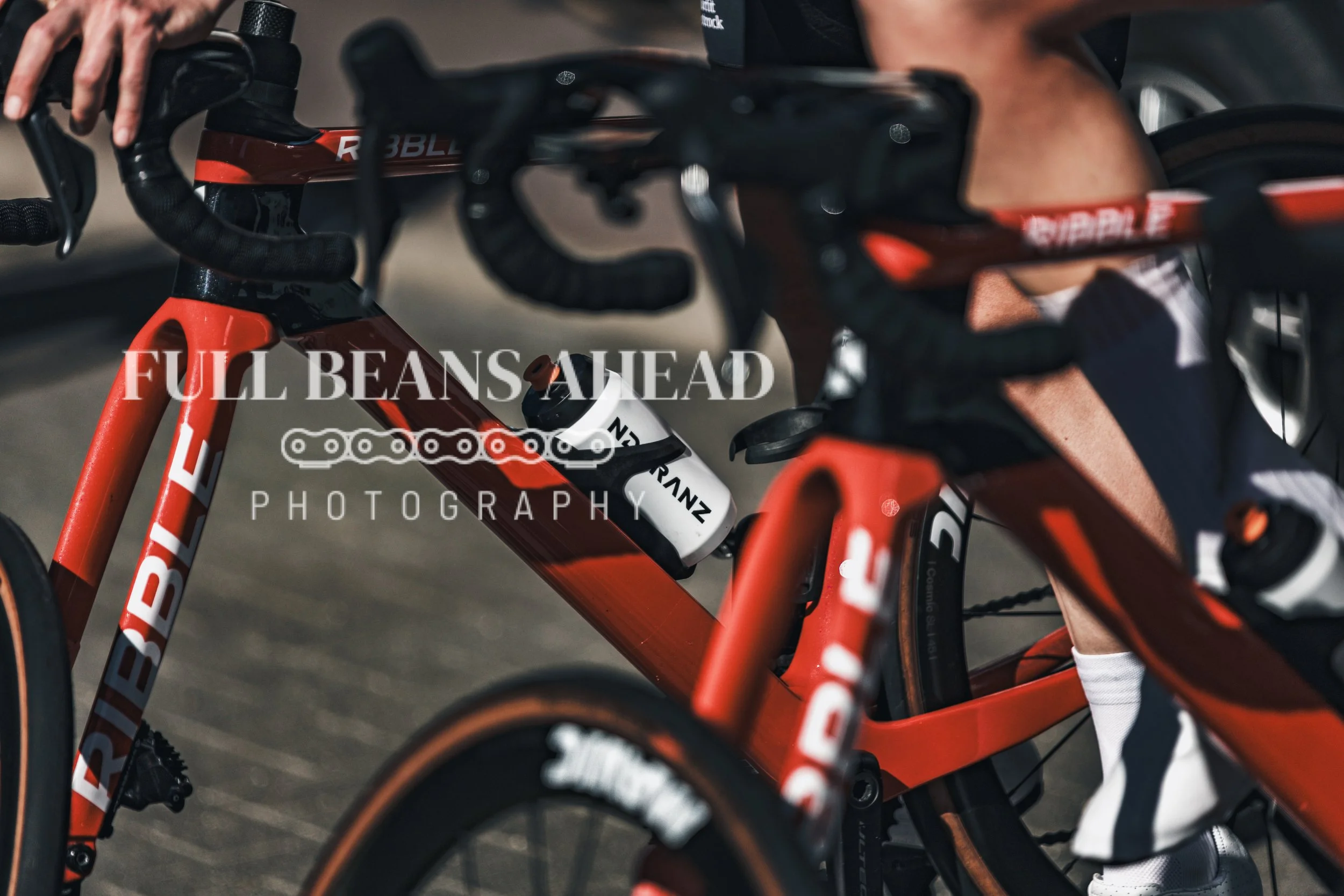Scheldeprijs 2026-83.jpg