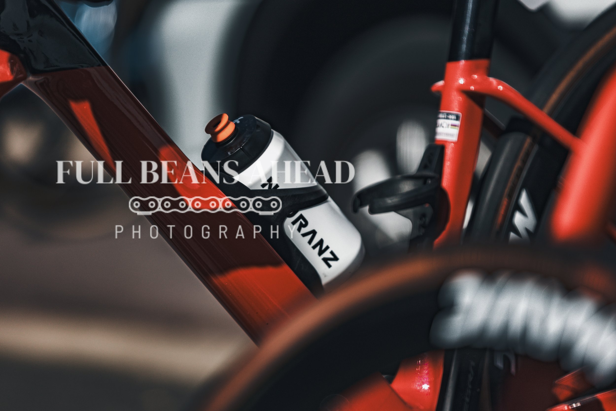 Scheldeprijs 2026-79.jpg