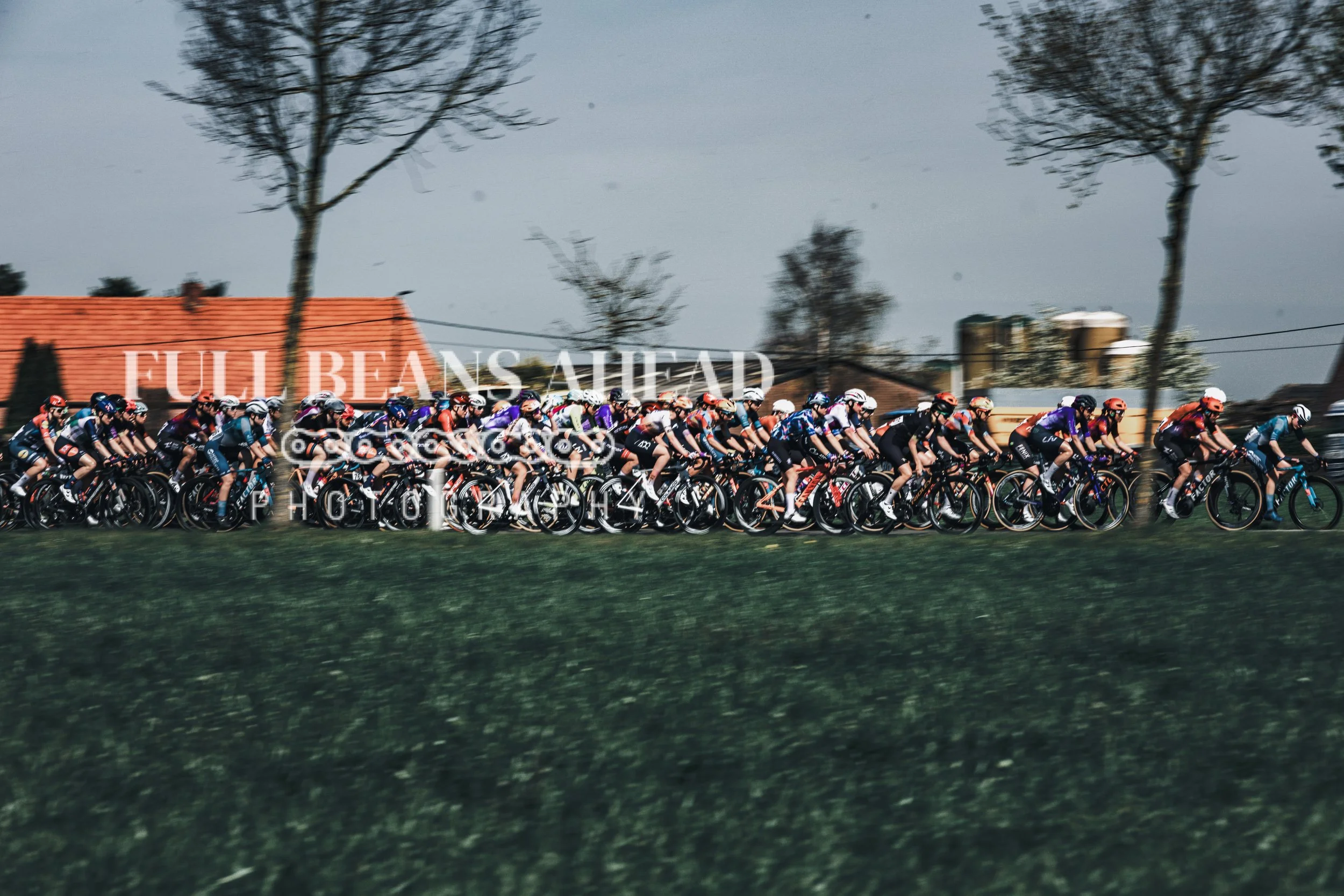 Scheldeprijs 2026-94.jpg