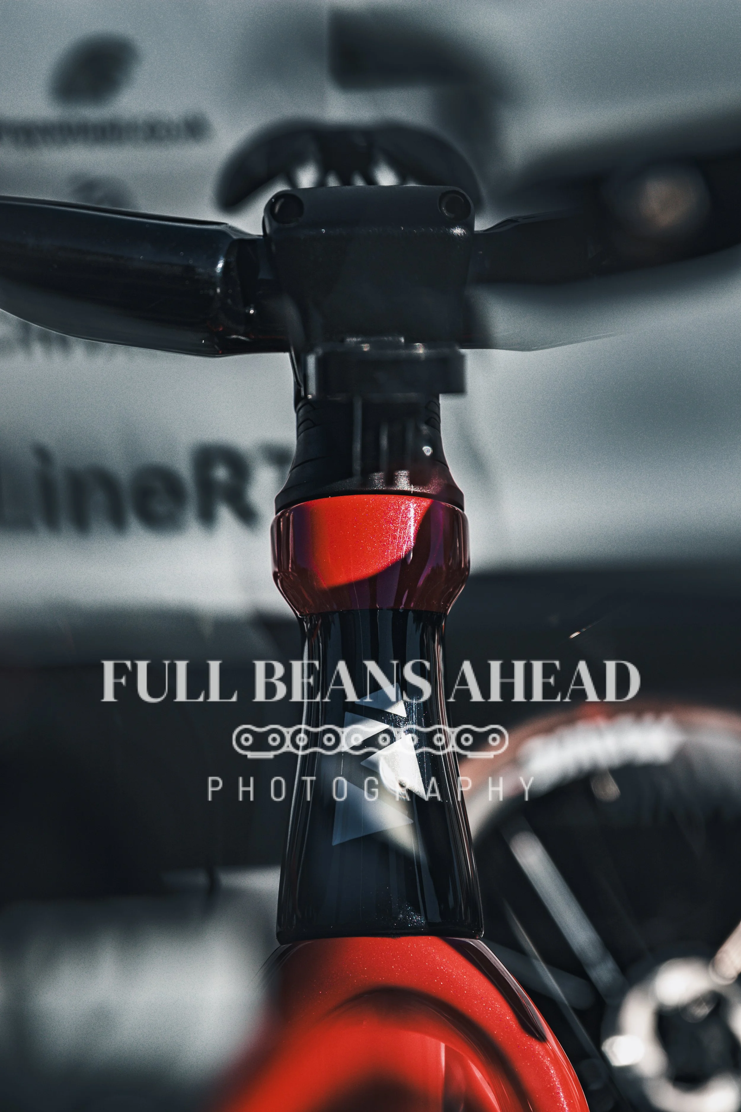 Scheldeprijs 2026-2.jpg