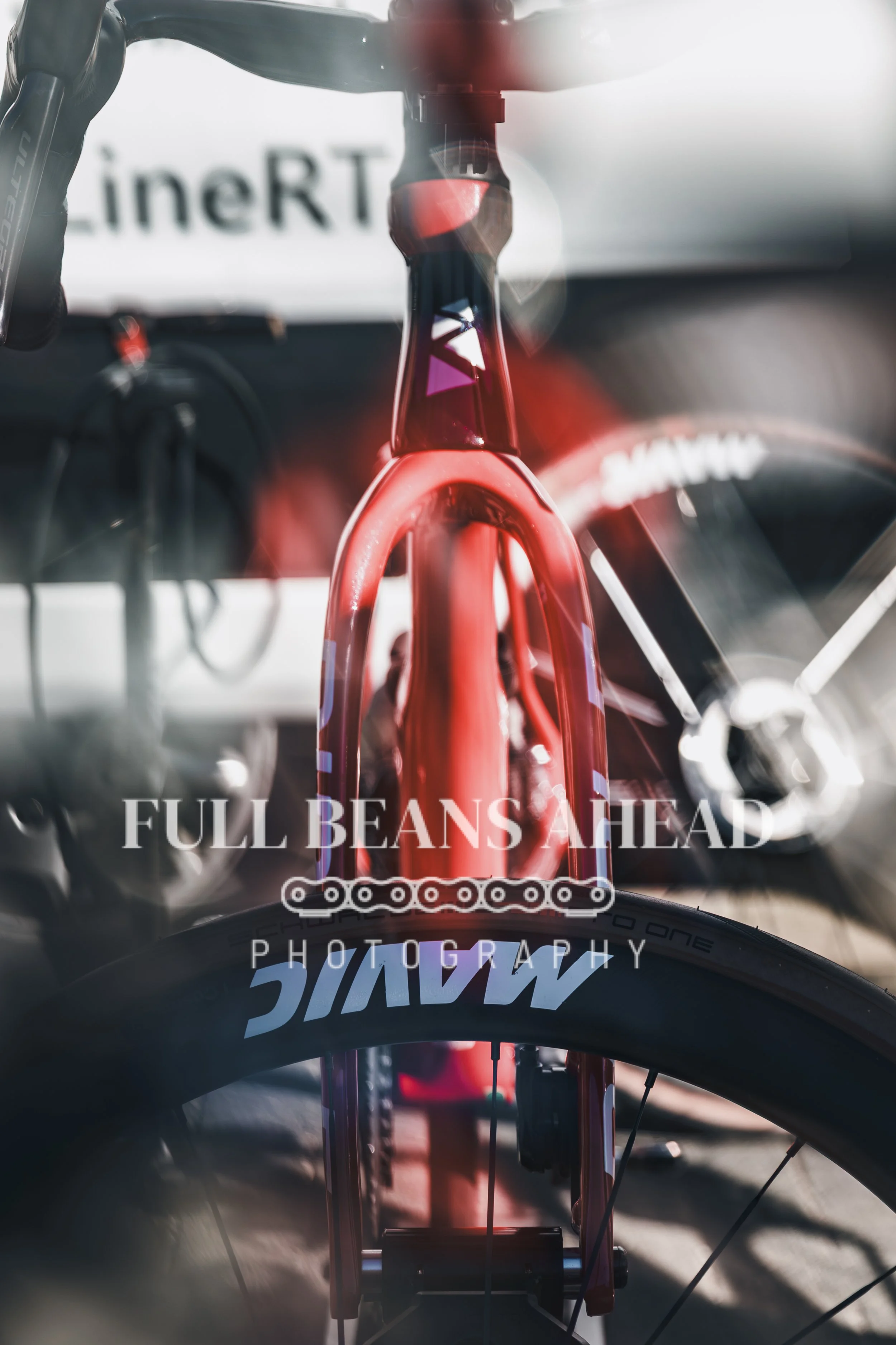 Scheldeprijs 2026-1.jpg