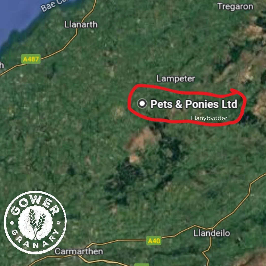 Shout out today to one of our great stockists, @petsandponies2010 in Llanybydder. 

Kerrie set up her business some 18 months ago and it&rsquo;s been great to see it grow. Through hard work, dedicated customer care - and juggling another job too &nda