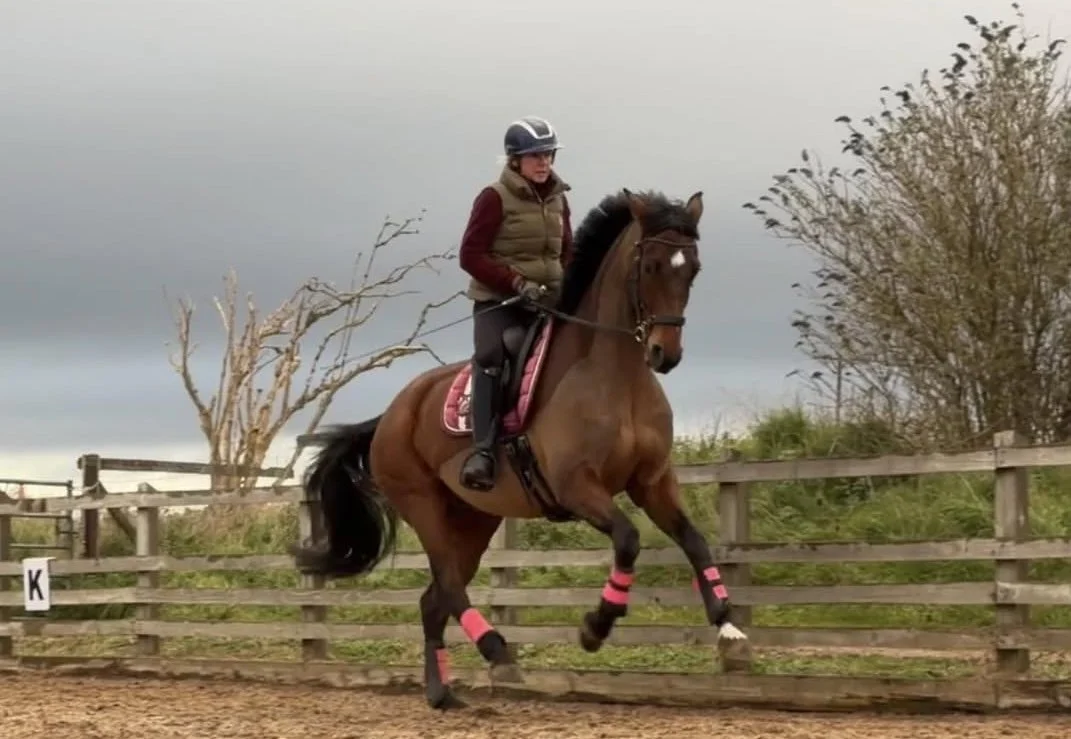 Mrs Equidance on why she quit wood pellets