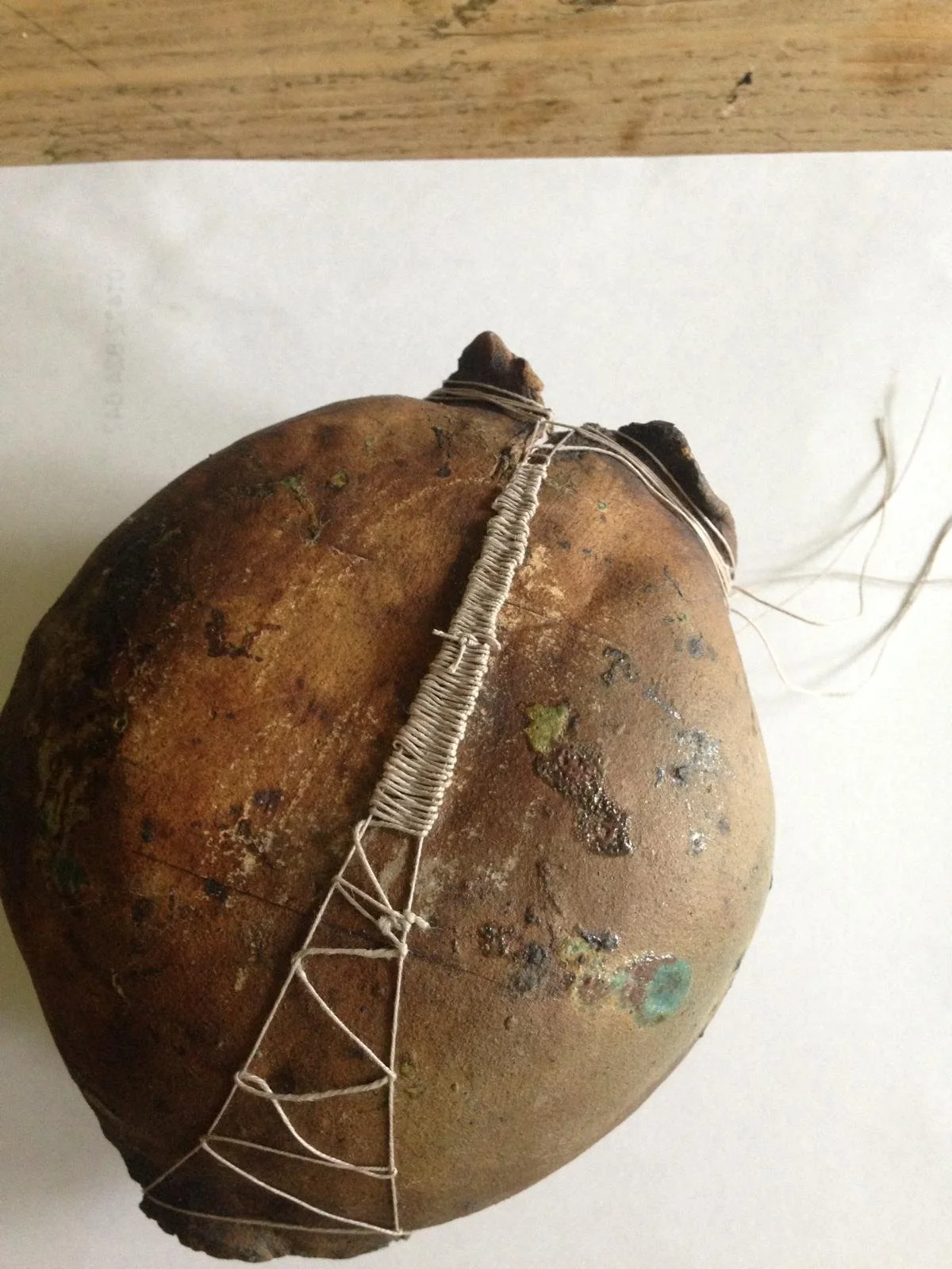 WhatsApp Image 2026-01-20 at 10.52.49.jpeg