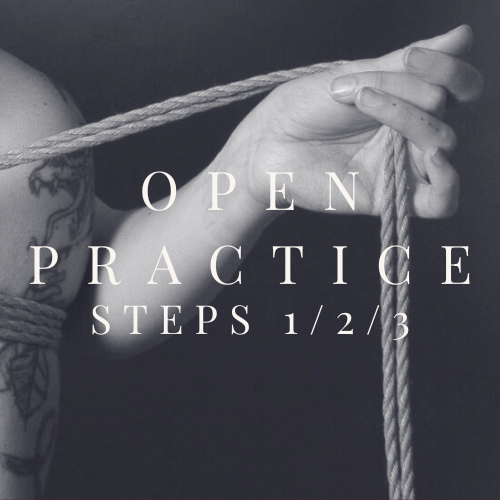 Open Practice: Steps 1, 2, and 3