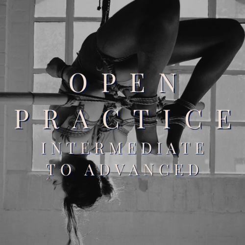 Open Practice: Intermediate to Advanced