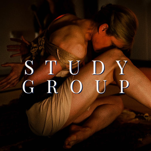 Study Group: Anna Noctuelle